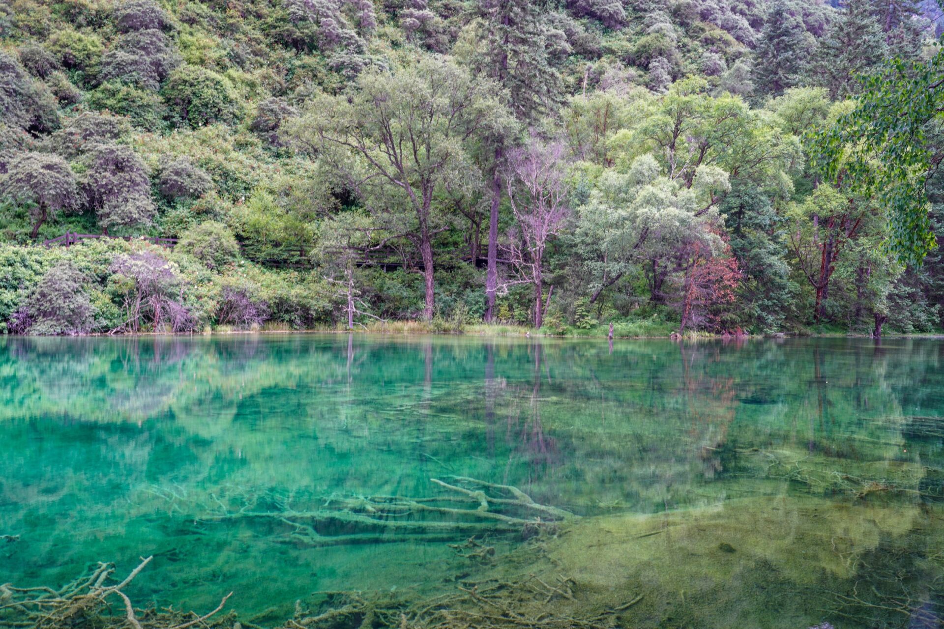 嫩恩桑措风景区不好看图片