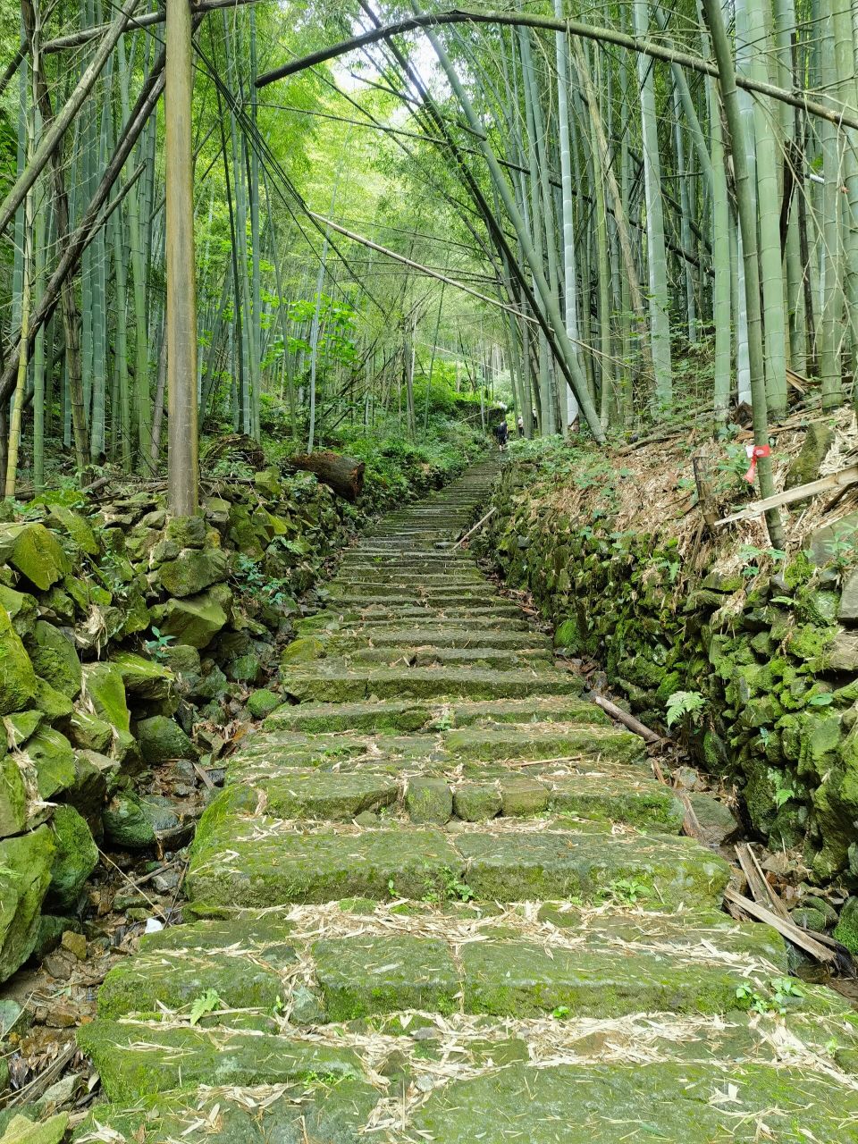 绍兴青板古道图片