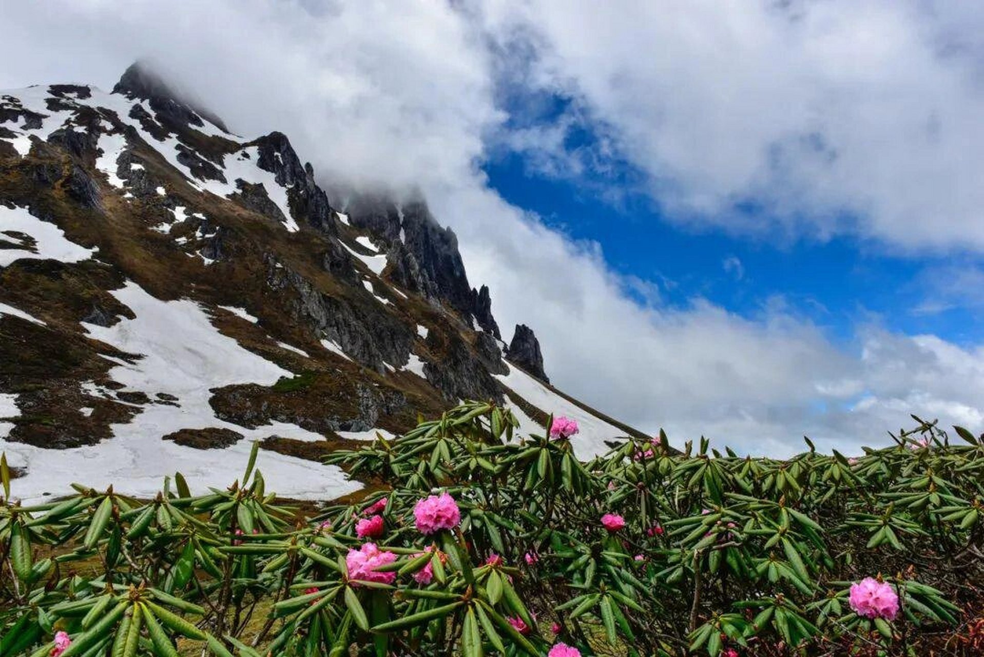 山不见我 ,我自去见山———云南怒江孔雀山 有一种生活叫云南的怒江