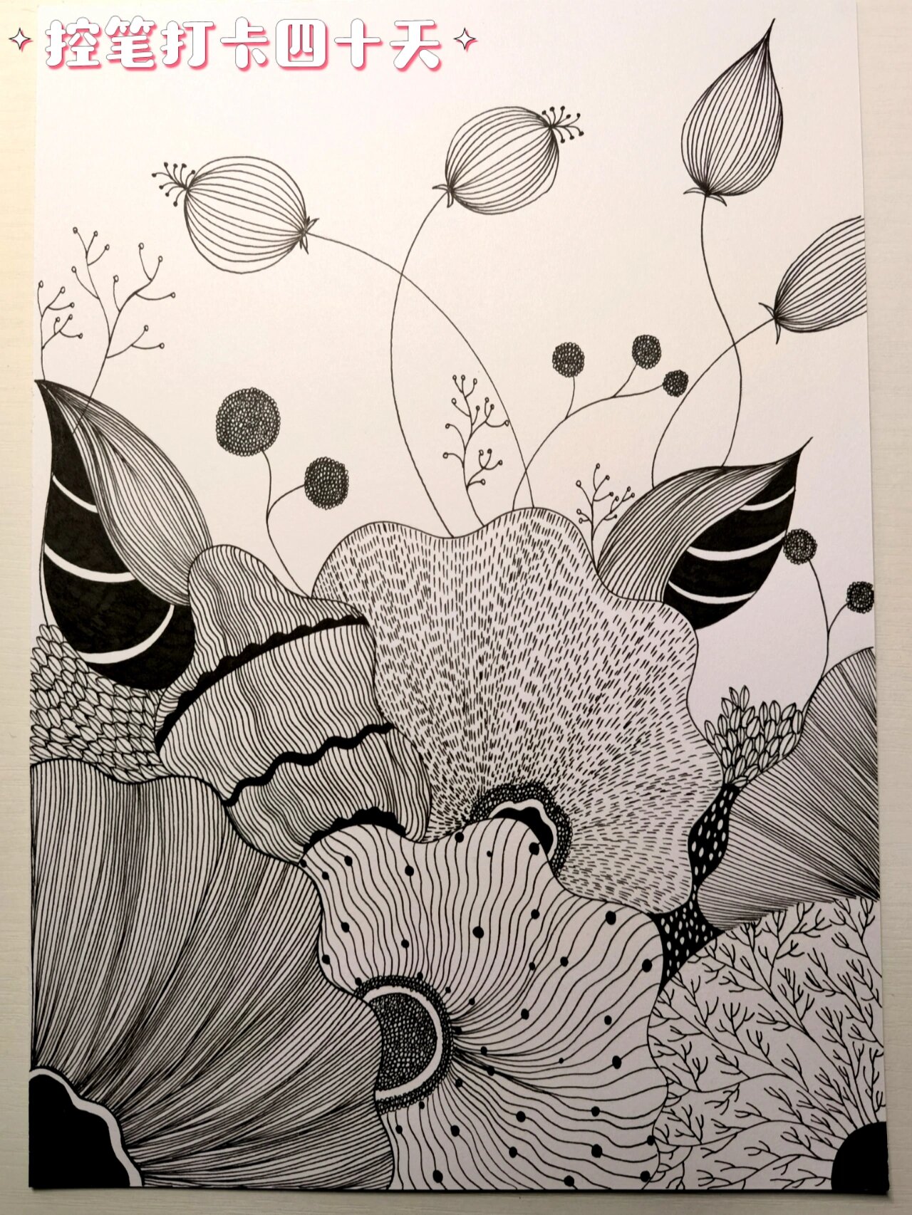 画画打卡40天!点线面组合练习 黑白线描画