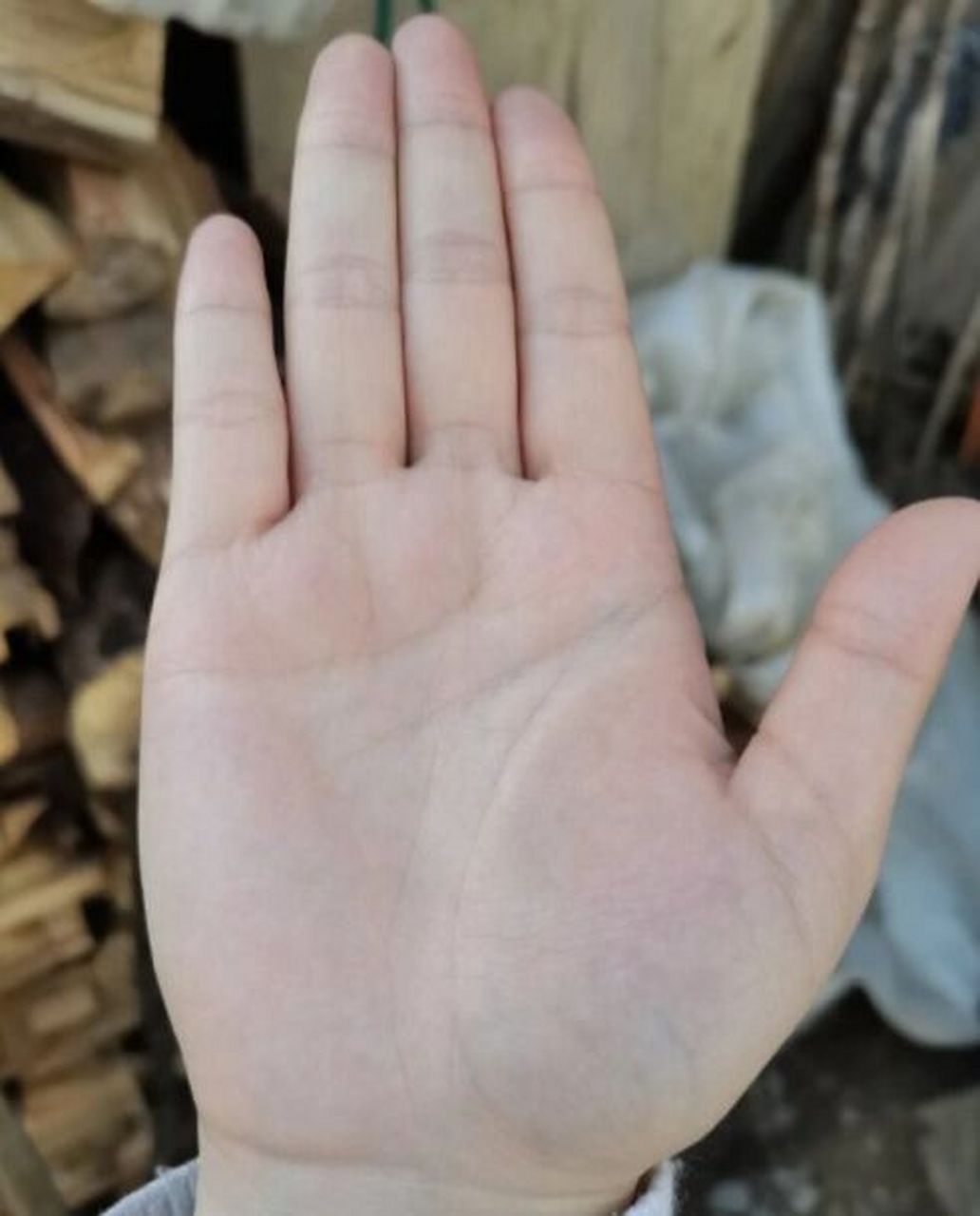 缘主掌纹感情线锁链状,感情上缺乏主见,意志力薄弱,遇见心仪的人就会