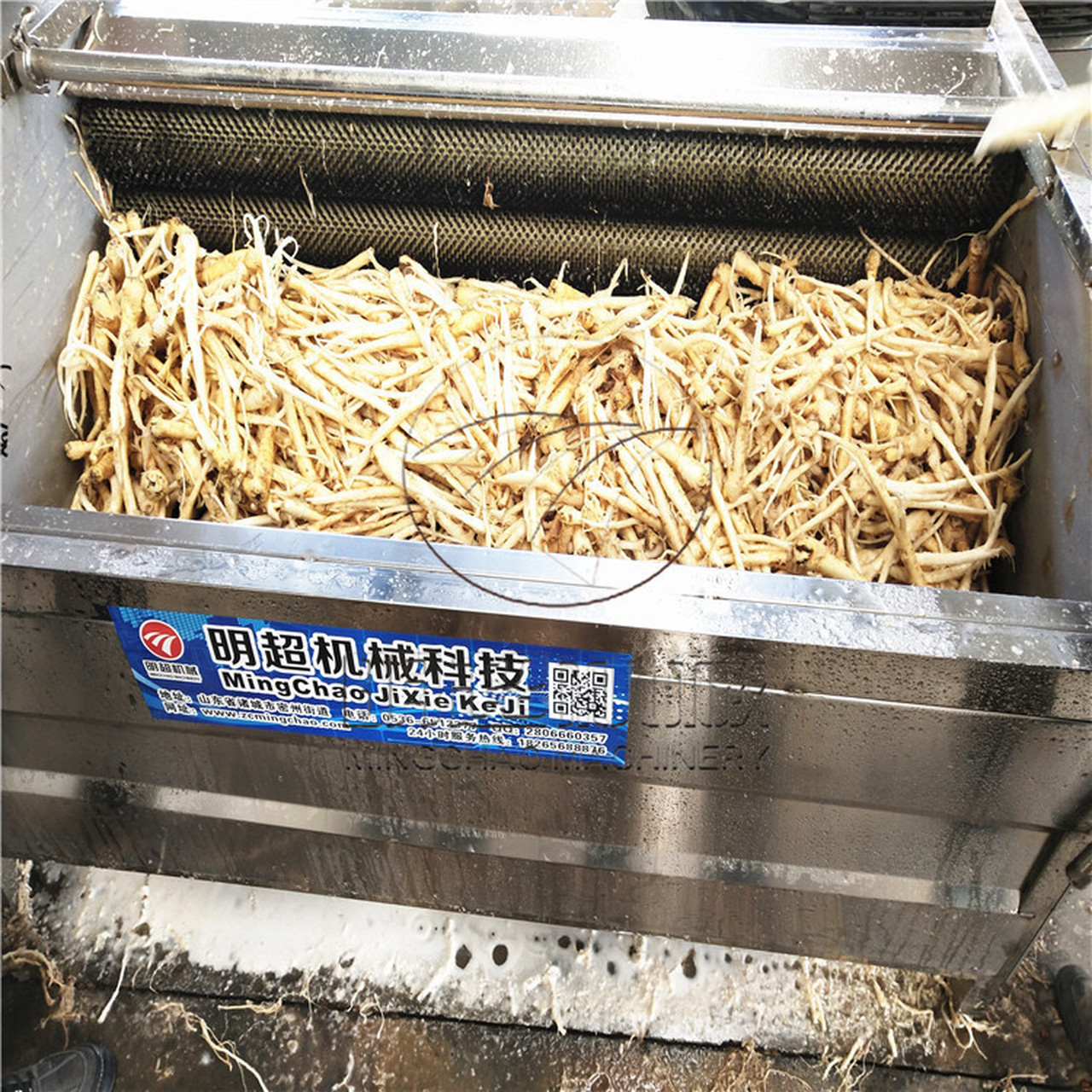 白芨 中药材快速清洗机加工机器设备 设备优点 1.