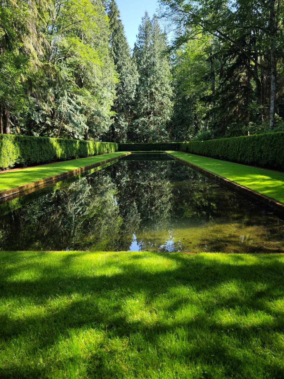 植物园bloedel reserve 班布里奇岛 bloedel reserve是位于美国华盛顿