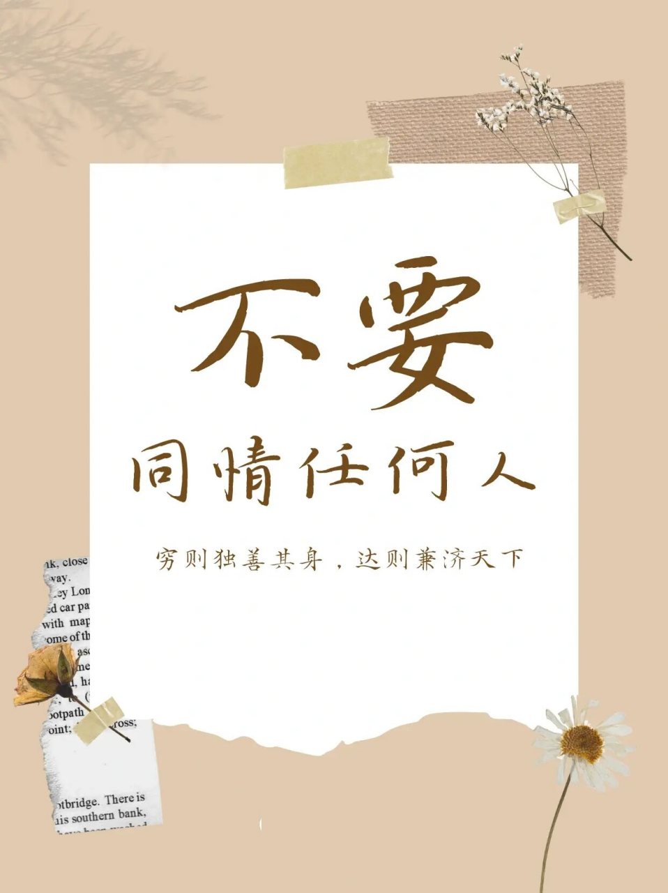 不要同情任何人,哪怕是至亲 没有强大的内核7115去背负别人的命运