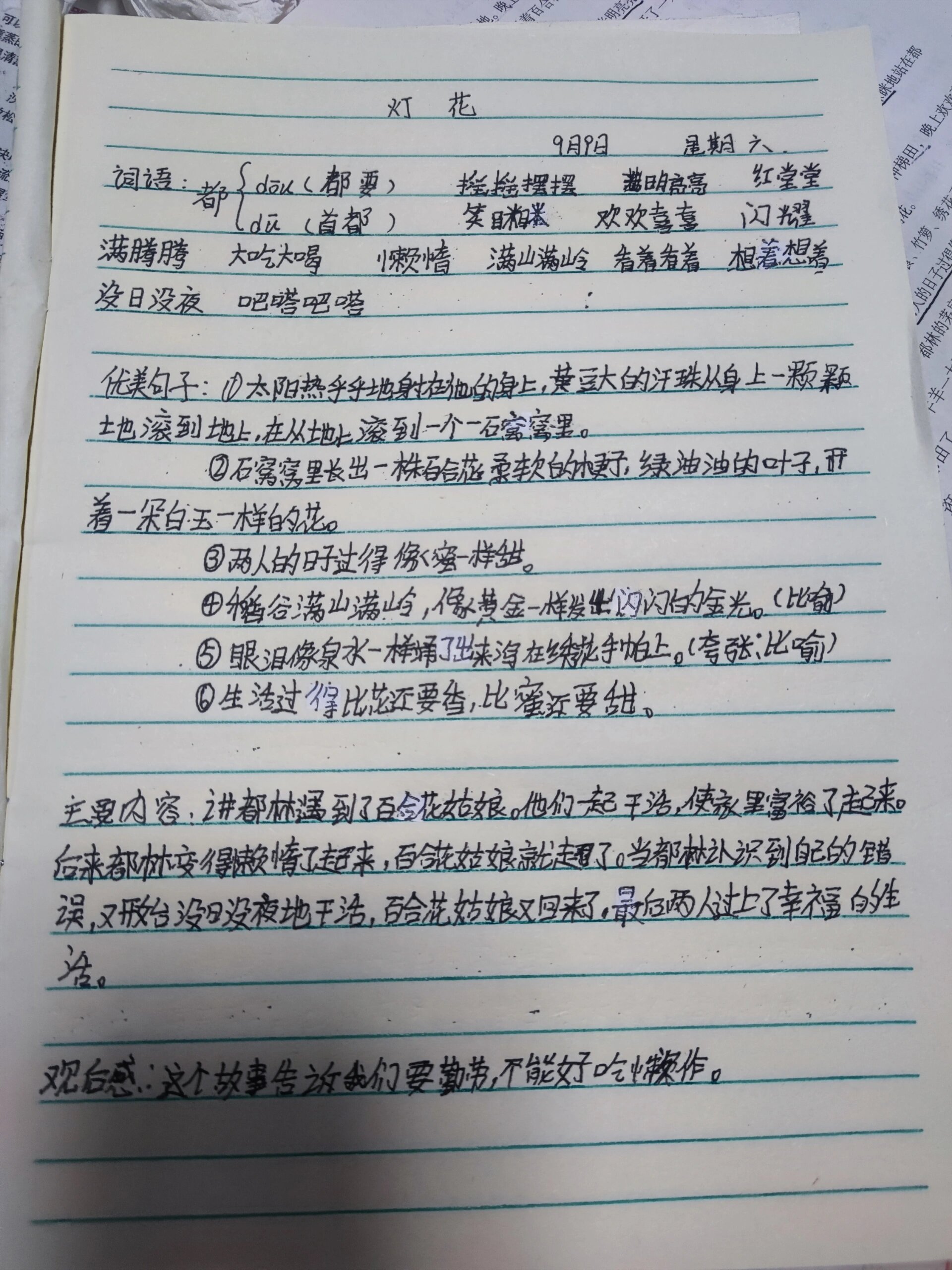 田螺姑娘读后感100字图片