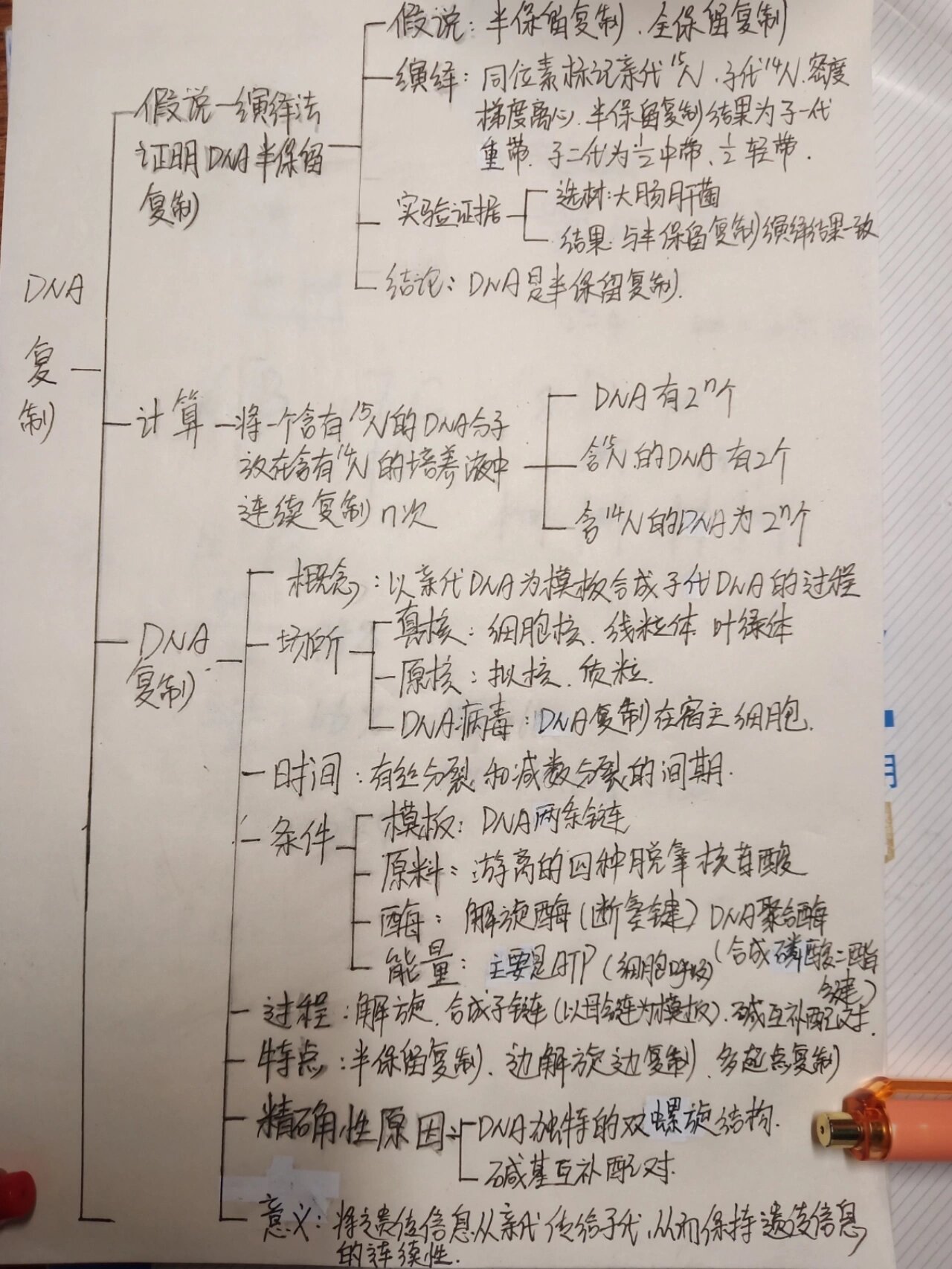 74dna的复制72思维导图 简单记录一下74dna的复制72思维导图