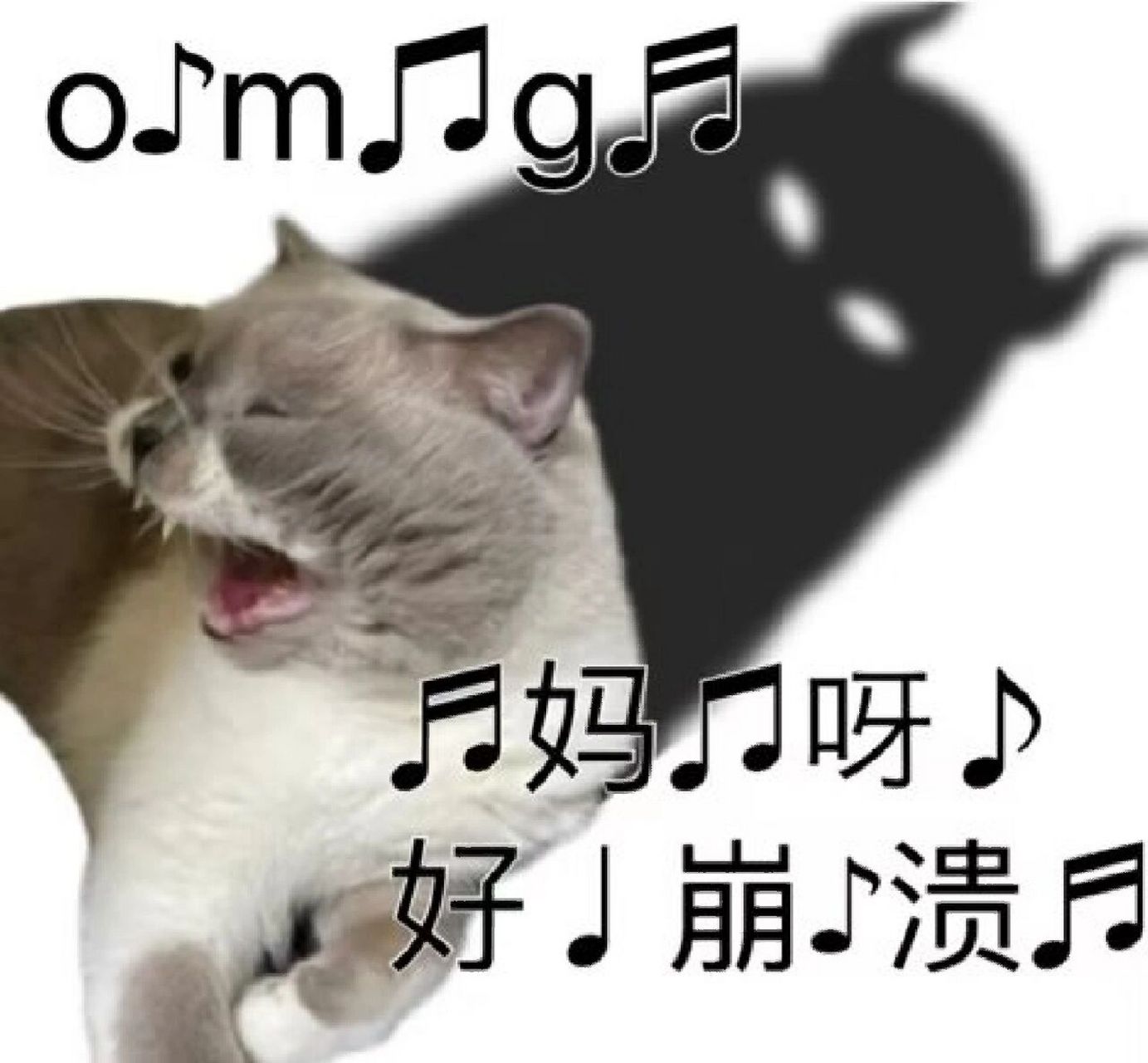 崩溃表情包 搬运 侵删