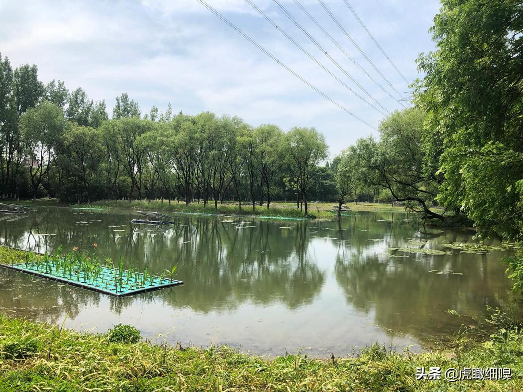 杭州下沙沿江湿地公园图片