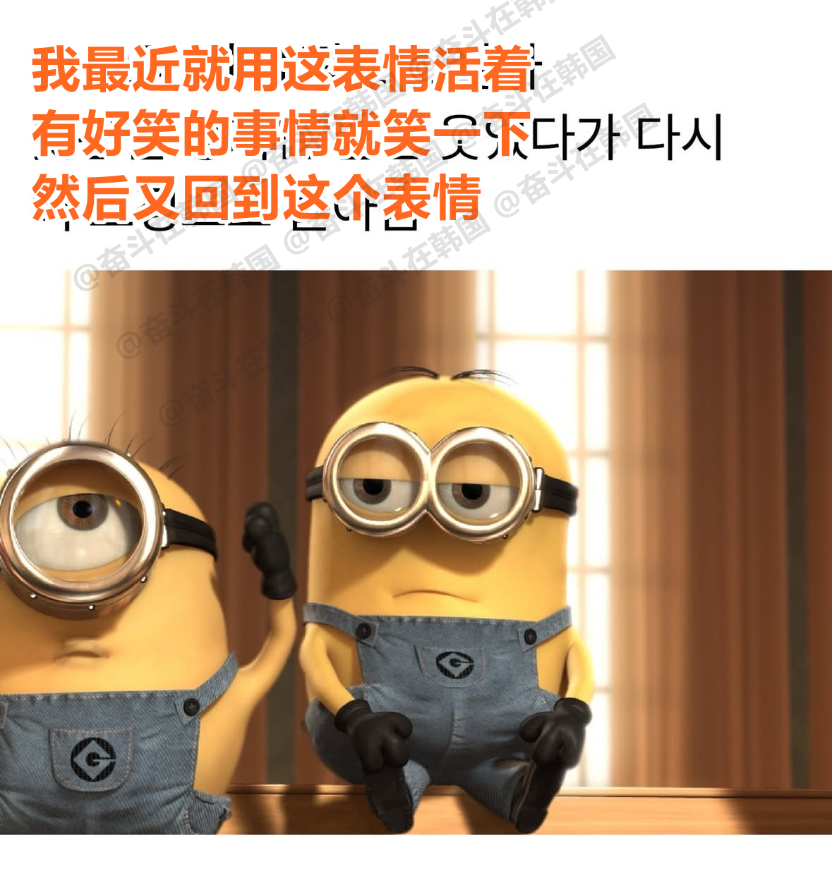 我最近就这表情活着