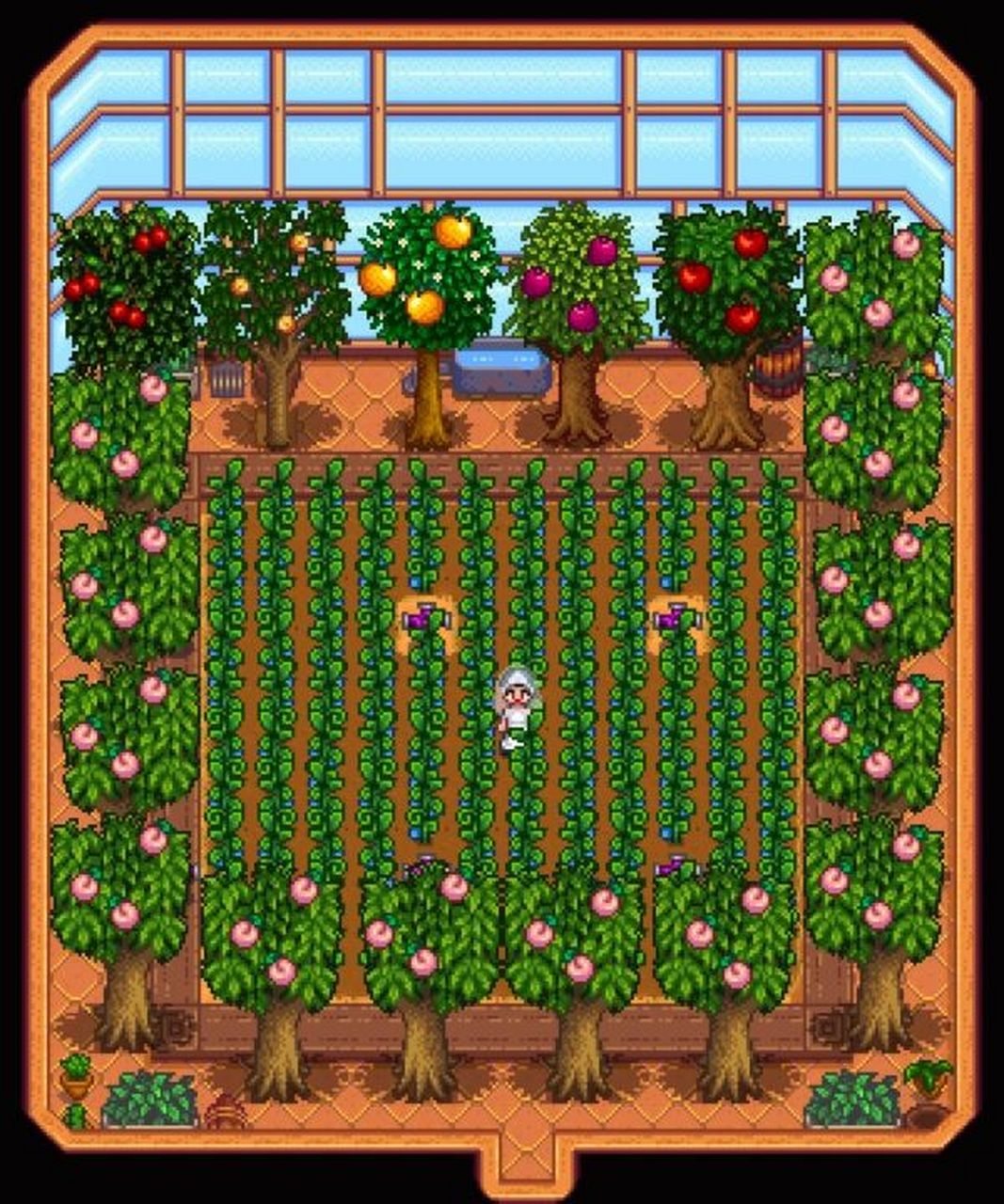 星露谷物语|温室布局93 9016个优质洒水器,可种108作物.