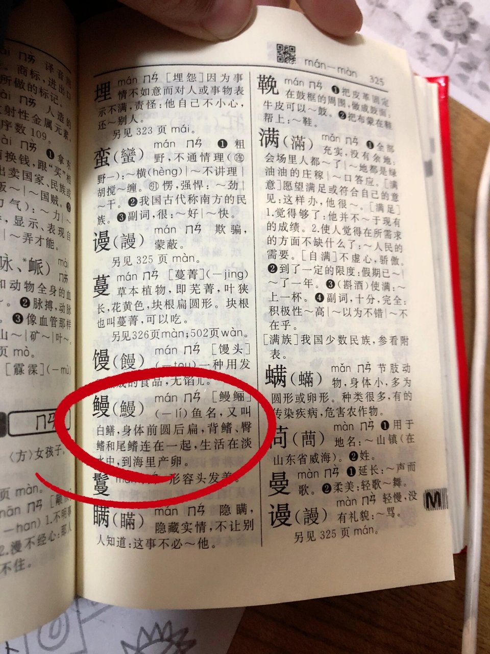 这个字儿怎么读 陪哥哥写作业,发现他读鼹鼠作"演鼠"99,这不对啊,不