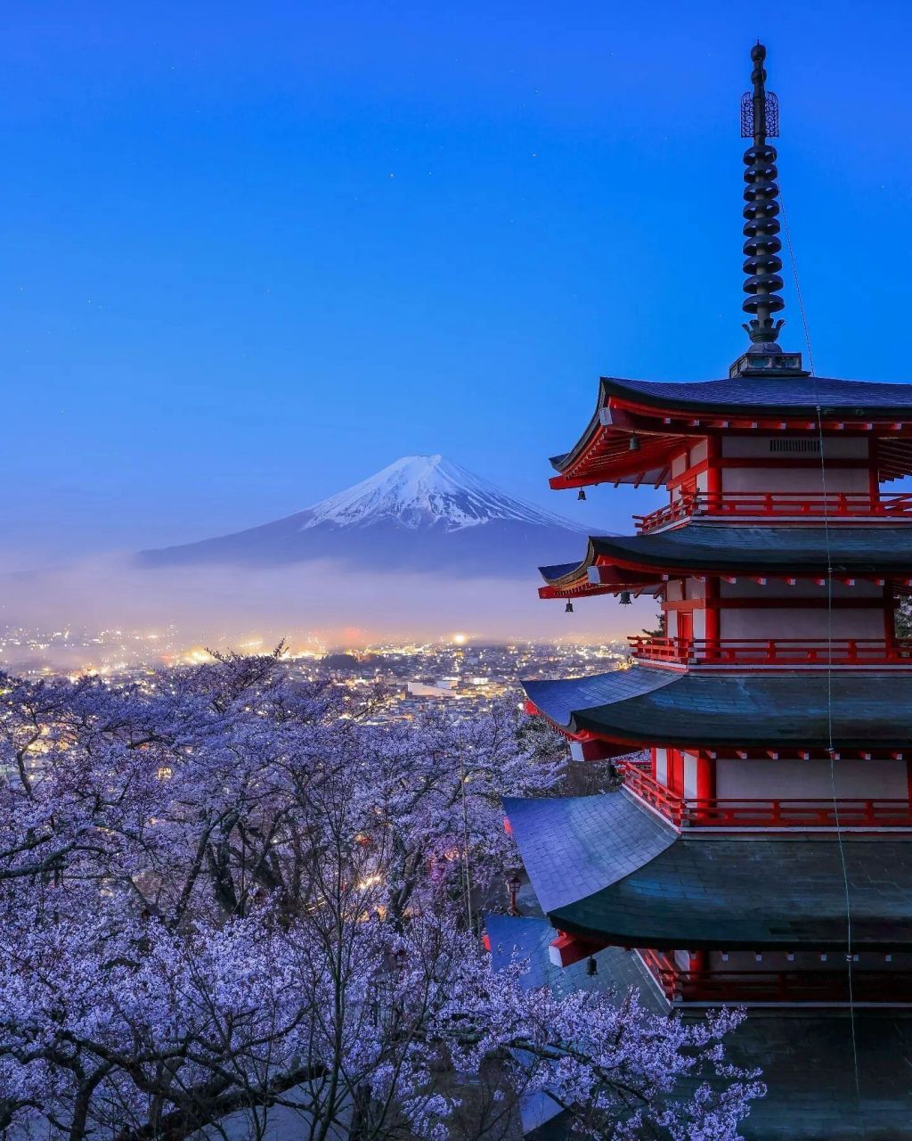 富士山下的樱花夜景图片