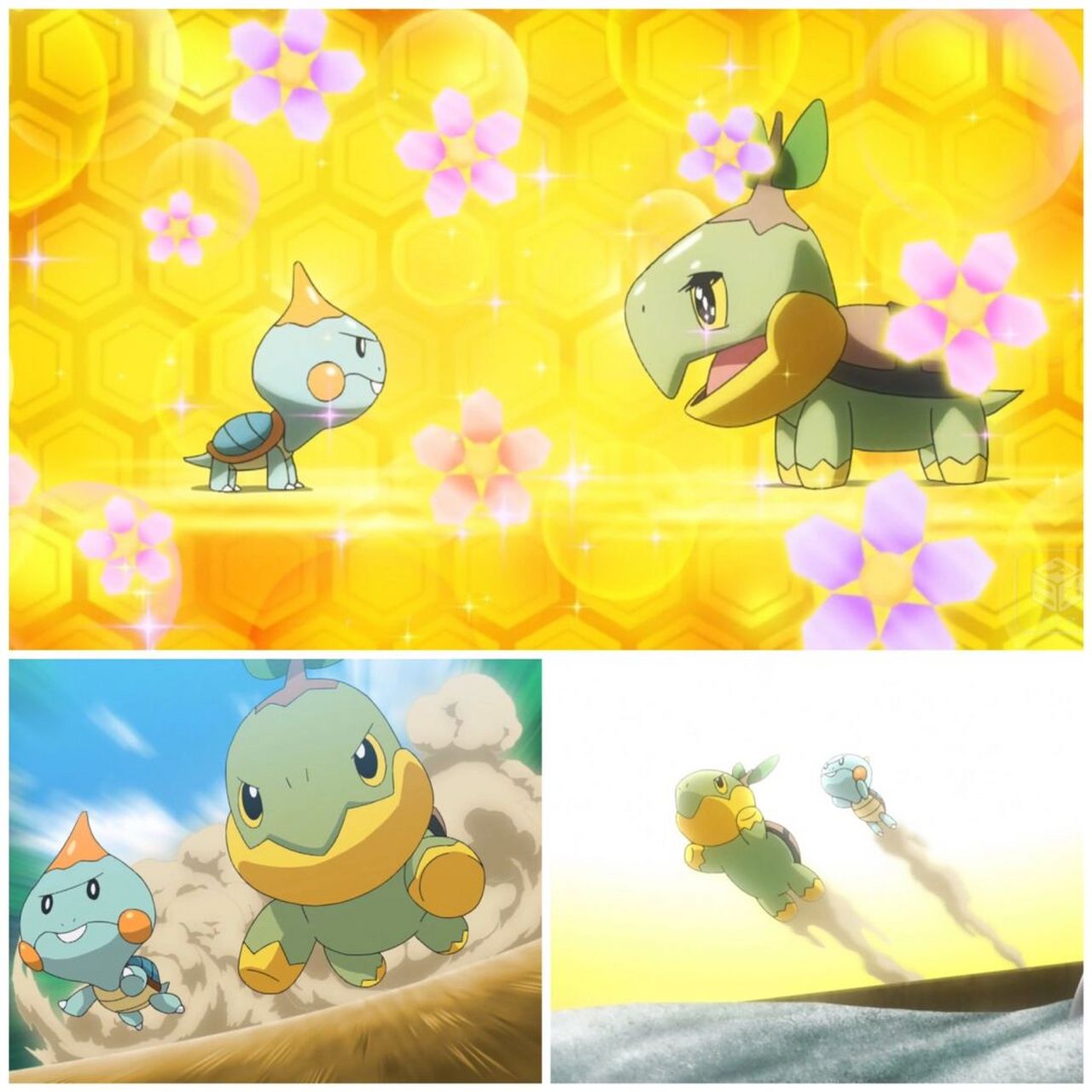 宝可梦日常|世界海龟日 - 龟龟宝可梦 98 5月23日是世界海龟日,目的