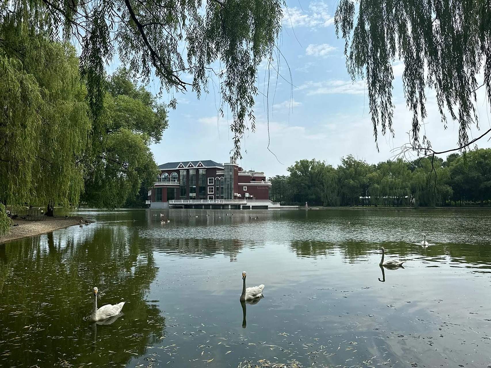 美丽的紫玉山庄           北京紫玉山庄毗邻奥运村,奥林匹克森林公园