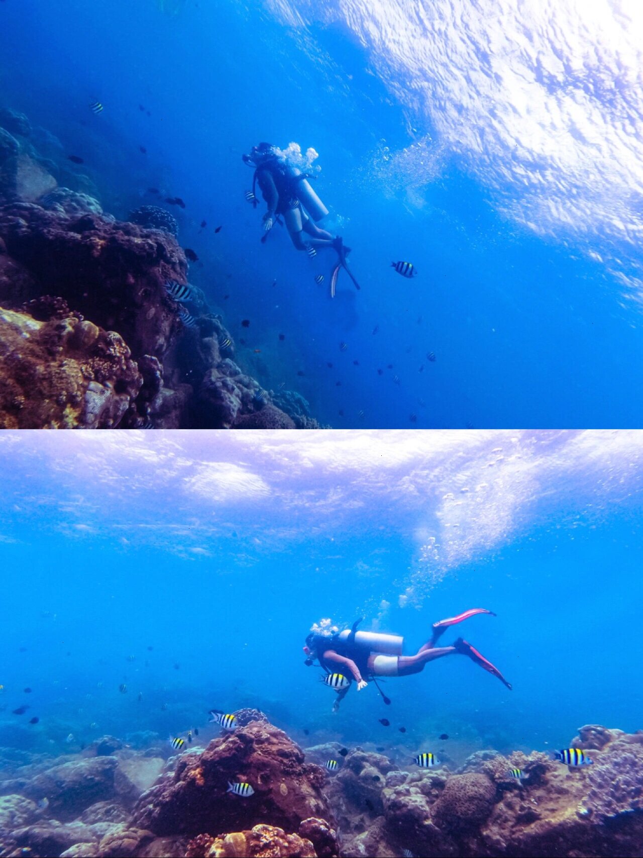 去三亚潜水要不要选择亚龙湾爱琴海dsd潜水? 91什么是dsd潜水?