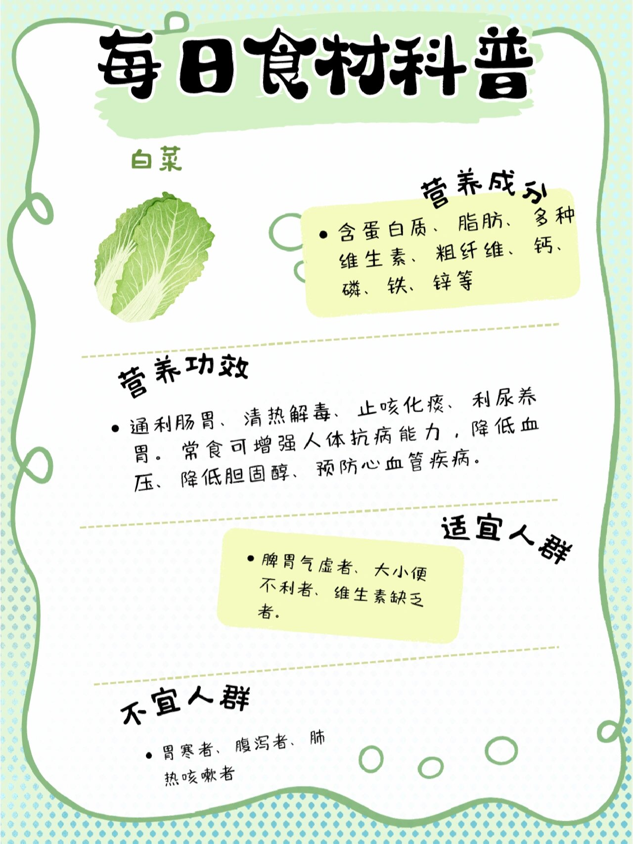 「每日食材科普」白菜