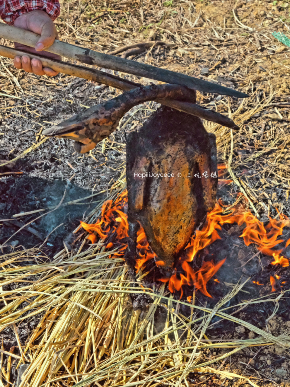 清远三坑农庄推荐97禾秆草煨鹅味道太独特了 99 这家农庄,在三坑