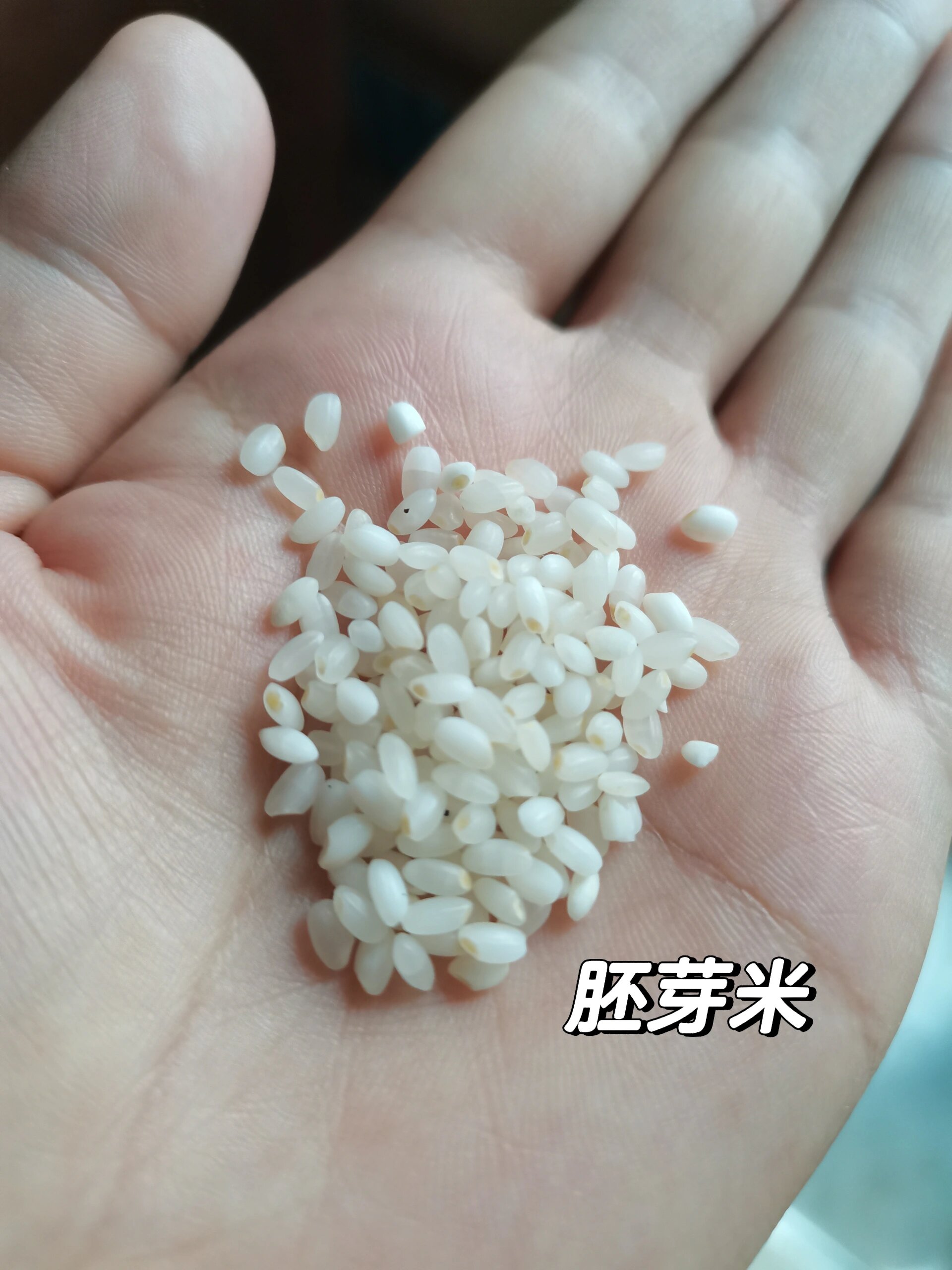 前几天遇到一位宝妈,告诉我要换成普通大米,胚芽米虽好,但不易消化