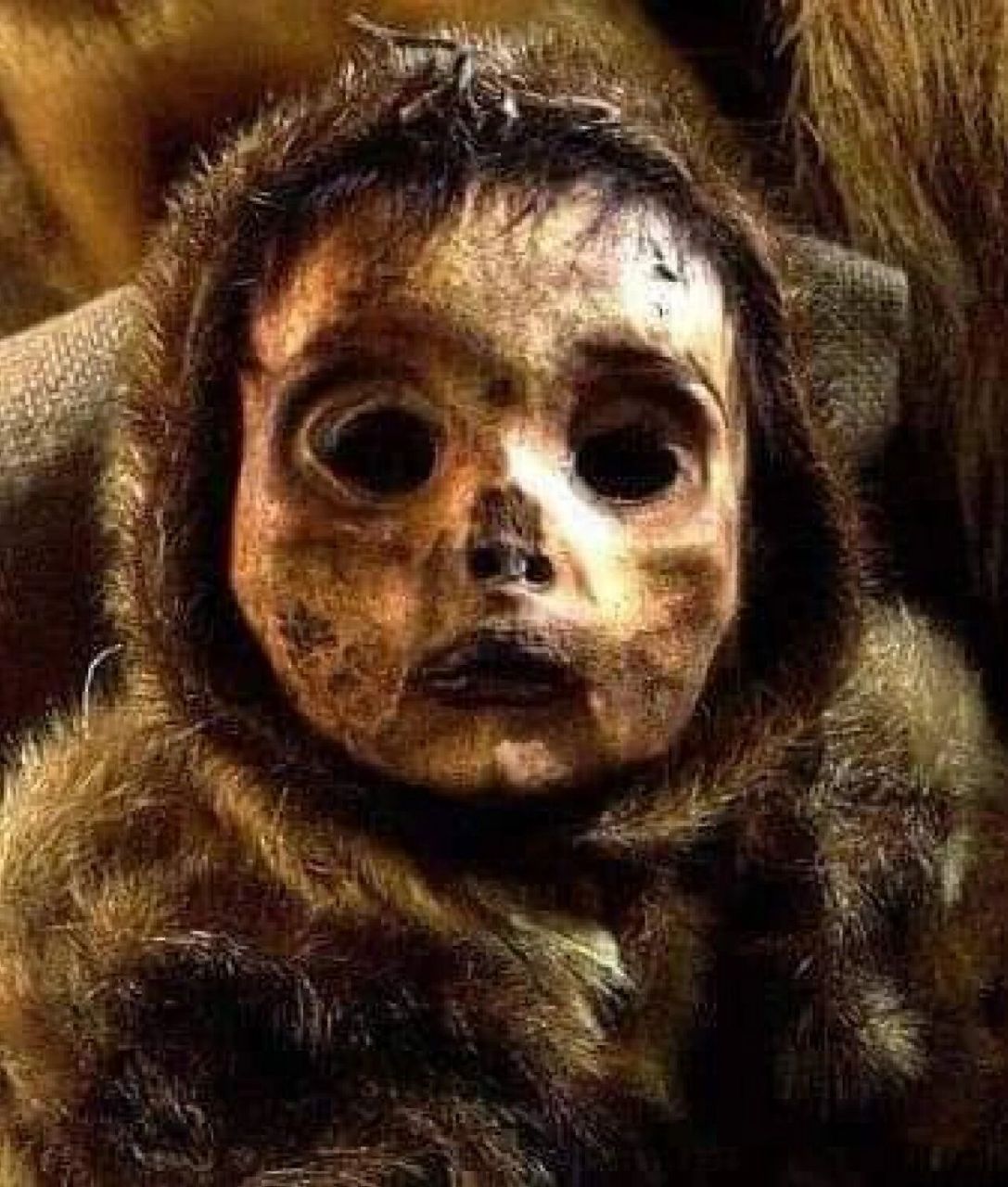 全球年龄最小的婴儿木乃伊 因努伊特婴儿是1972年在格陵兰荒凉地区前