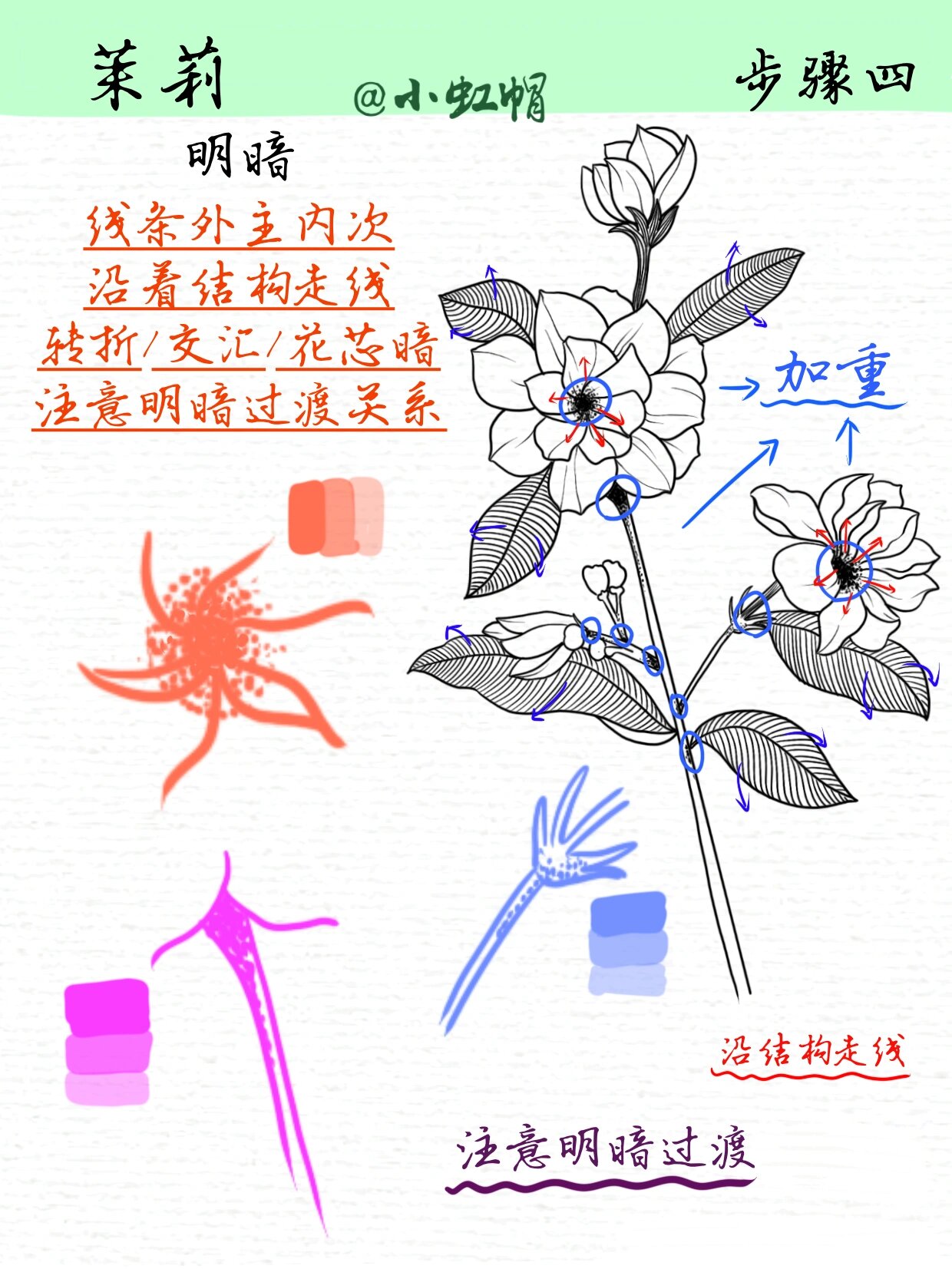 茉莉花图画铅笔画图片