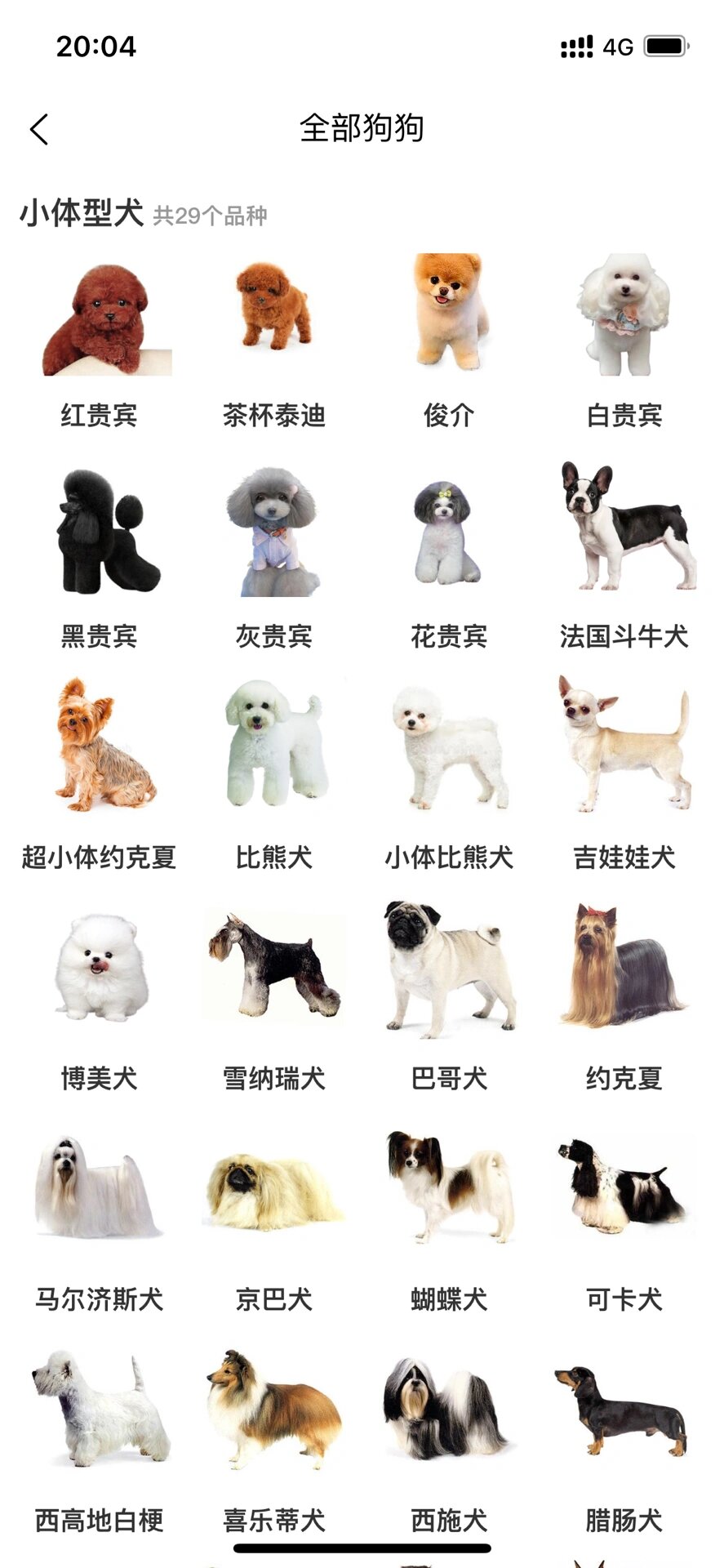 哈希娱乐- 哈希游戏平台- 哈希游戏官方网站中银恒优12个月持有期债券A