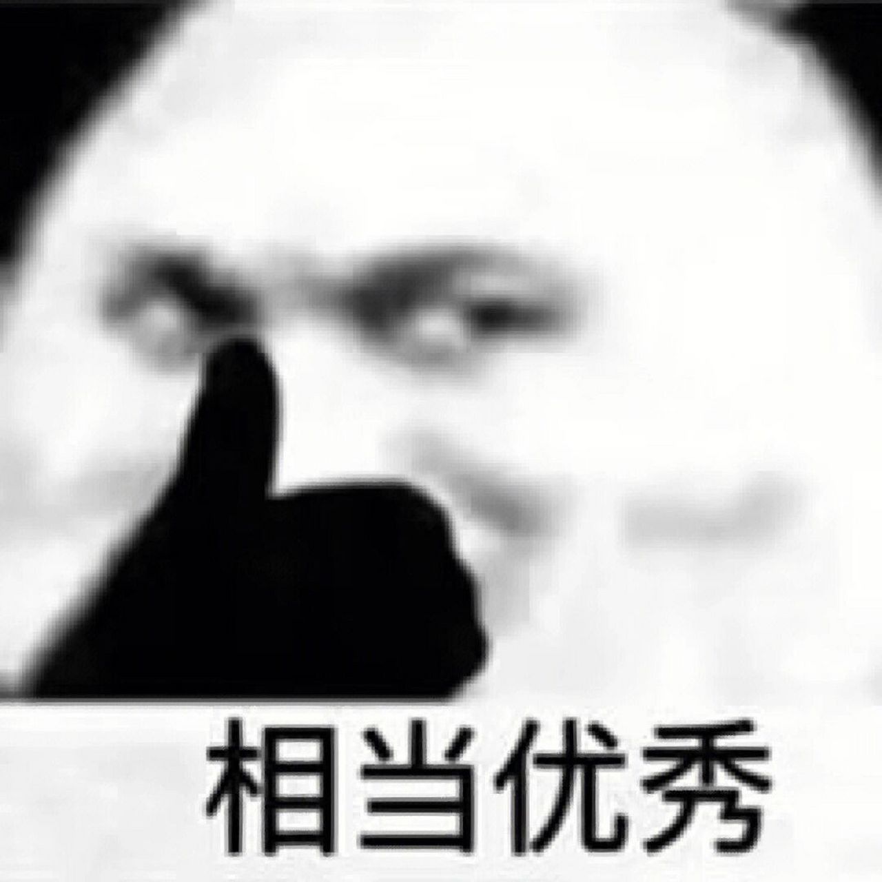 熊猫头🐼表情包丨相当优秀👍🏻                   二转 作者