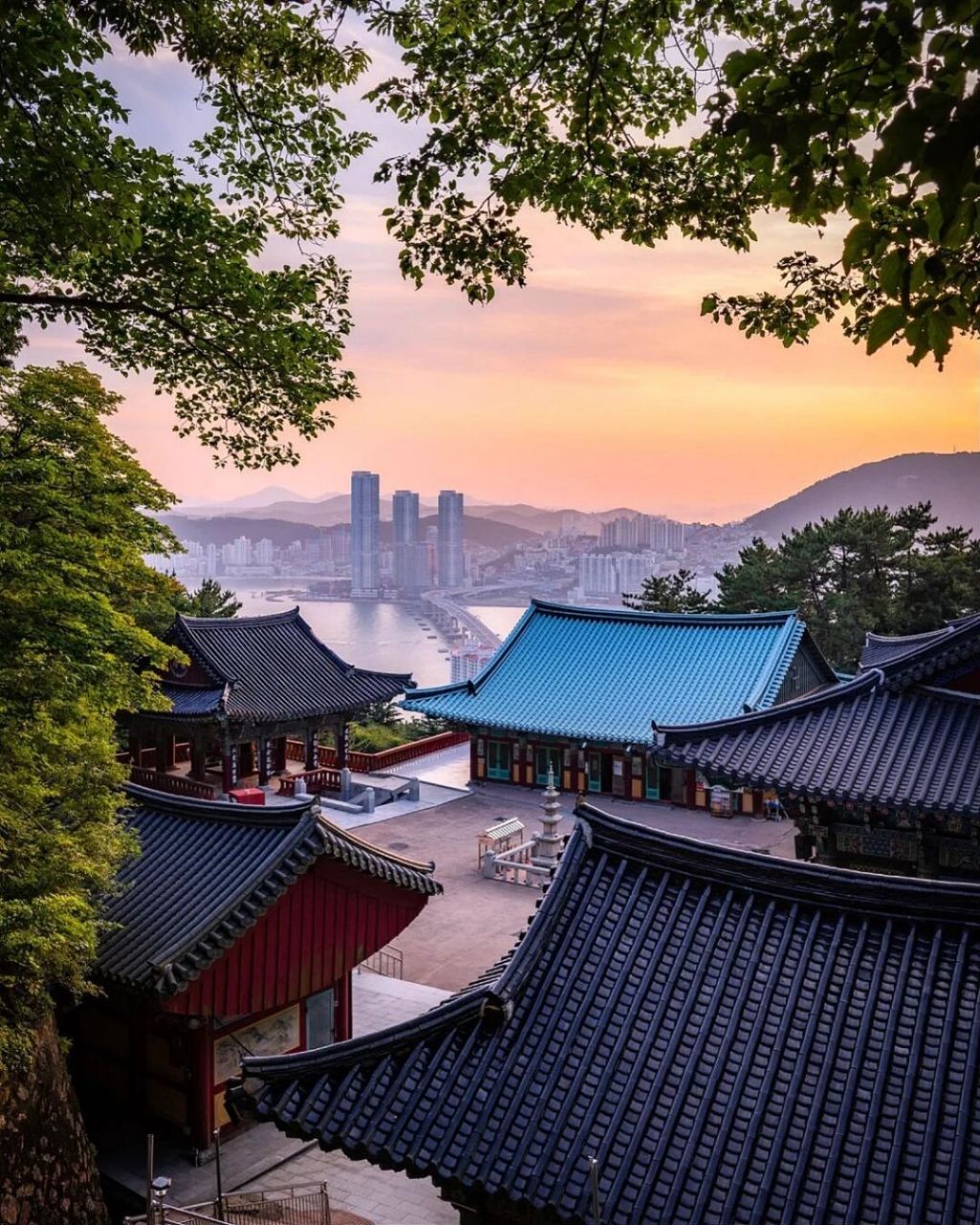 [照相机]影岛上的福泉寺的晚霞风景. 来釜山的话请访问一下.✈️ 