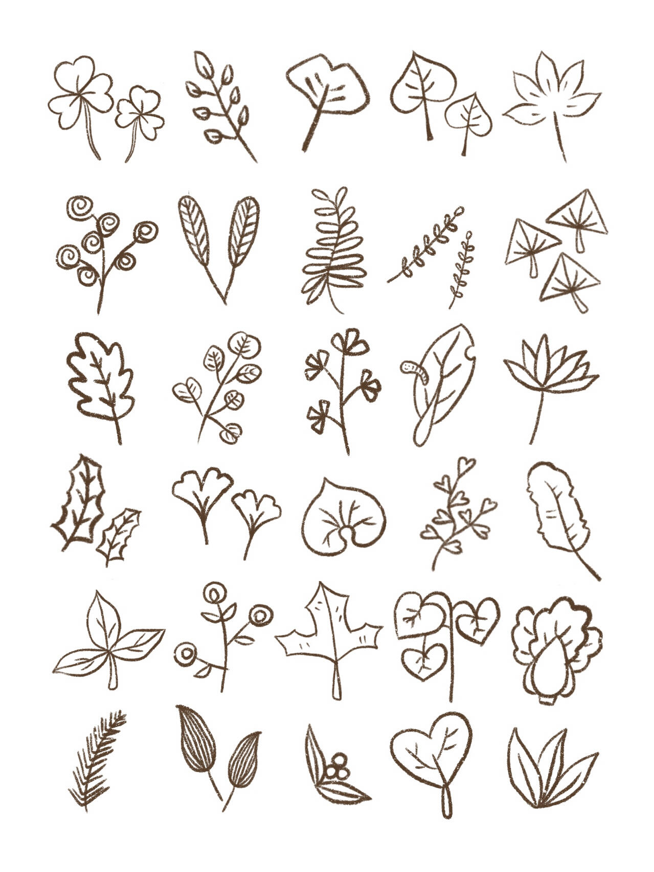 手账素材|30种叶子的画法合集
