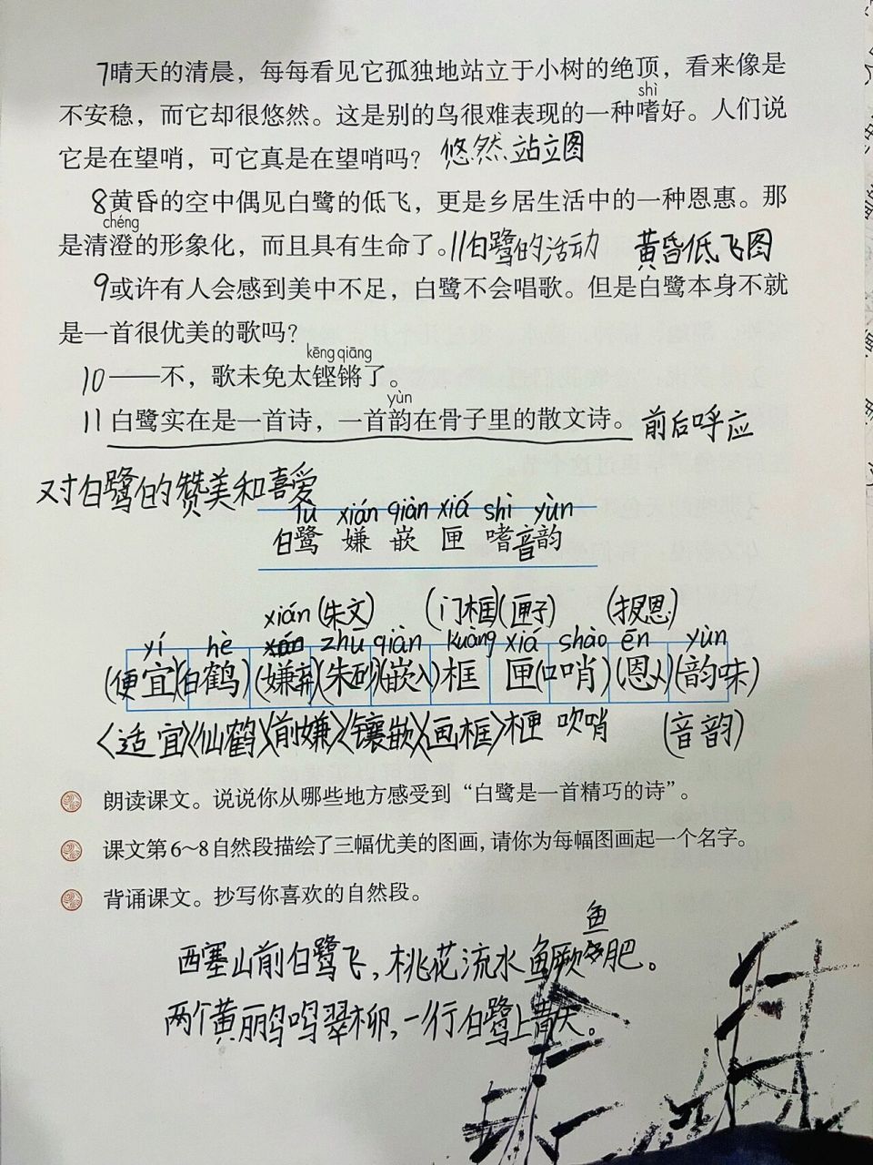 五上语文笔记《白鹭》 第一课《白鹭》学生课堂笔记分享