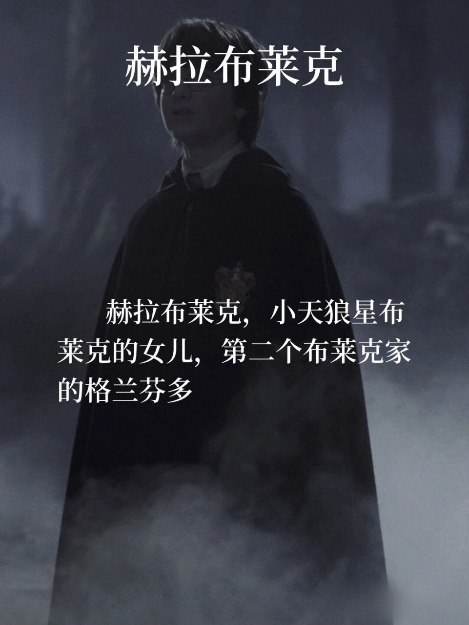 一只小鹿のhp同人文分享(20) 赫拉布莱克 cp:赫拉61布莱克*哈利61