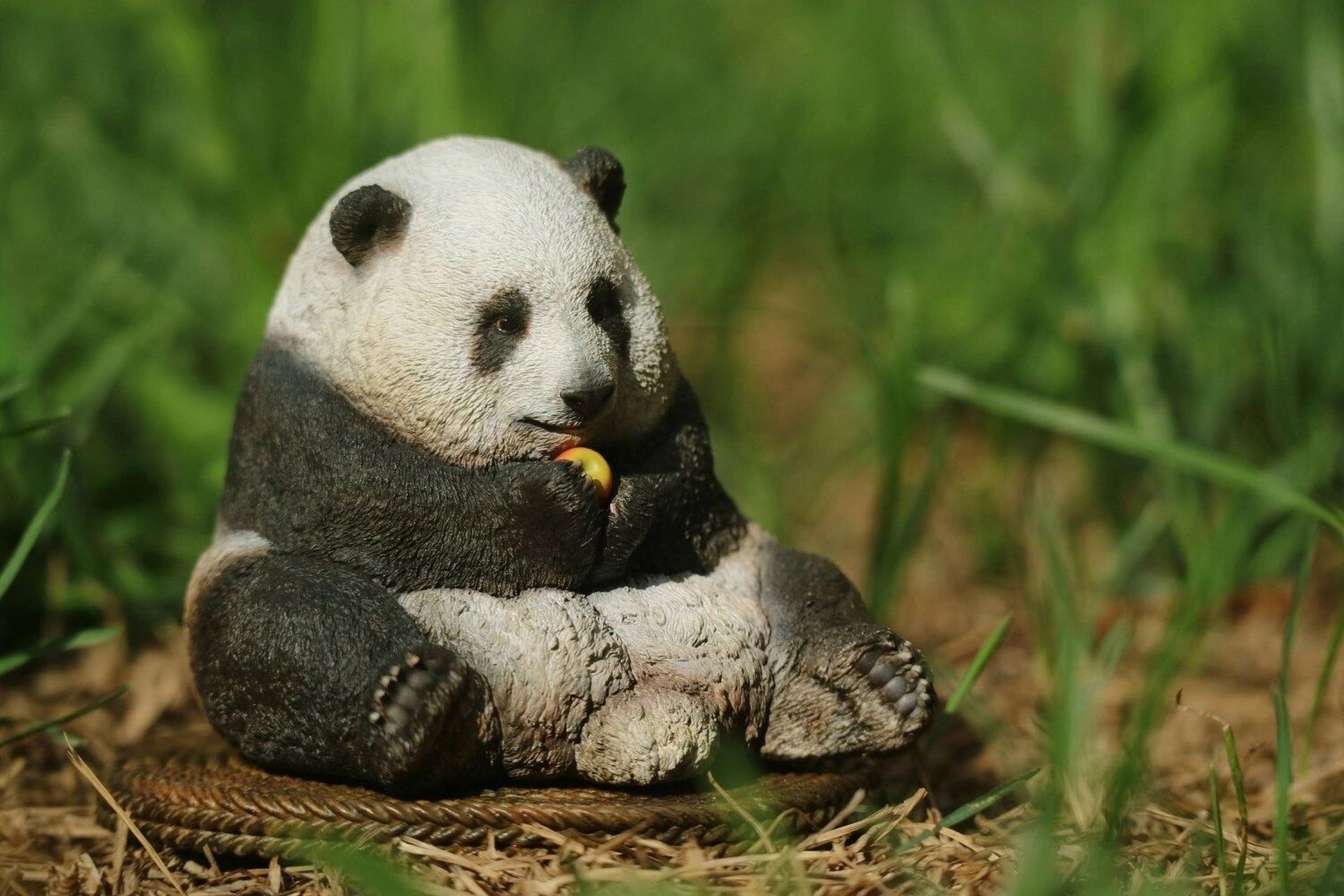 熊猫宝贝这该死的颜值 作为国宝我们这该死的颜值,这么可爱谁不想带