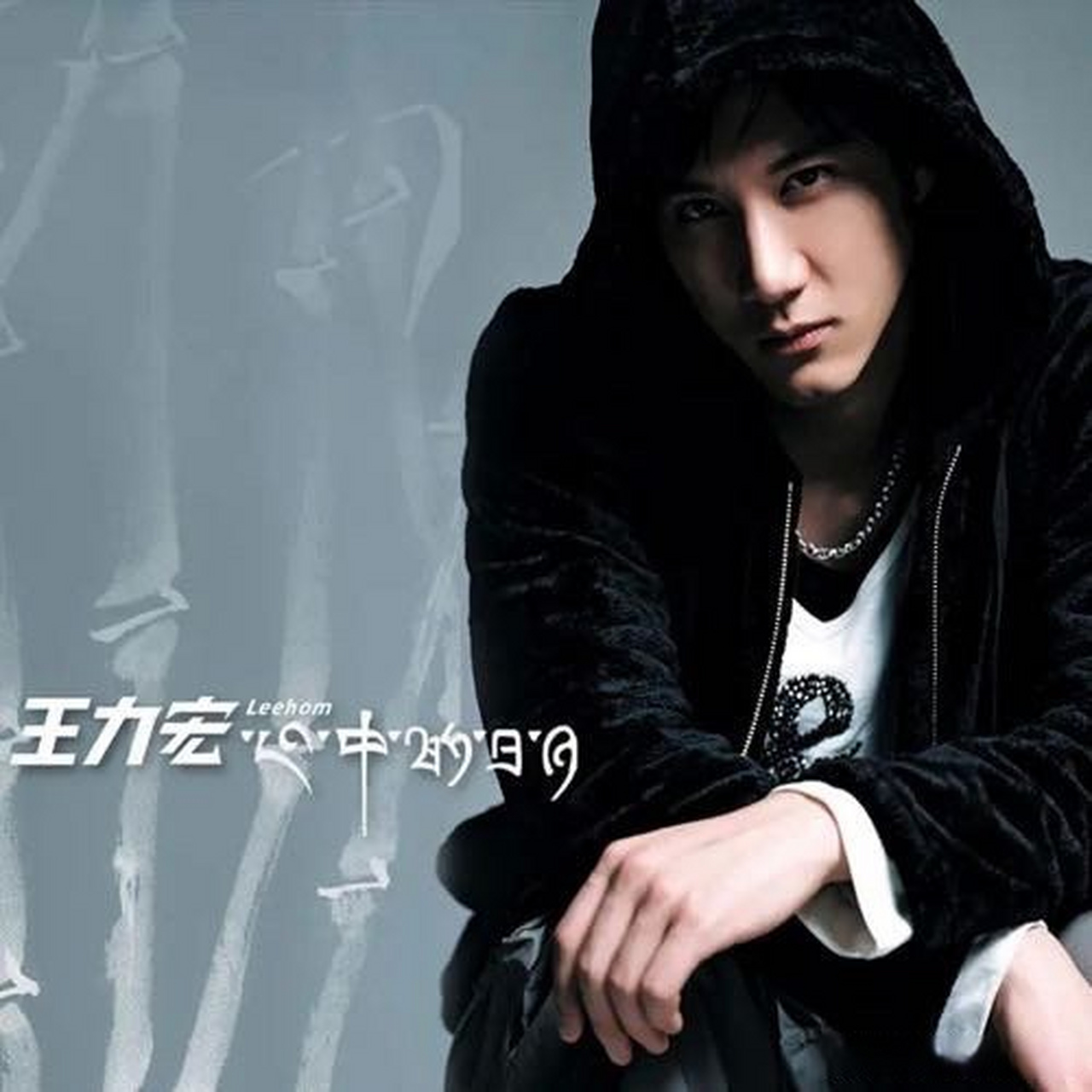 fairy_小小花可以回我一下嗎  王力宏《forever love》