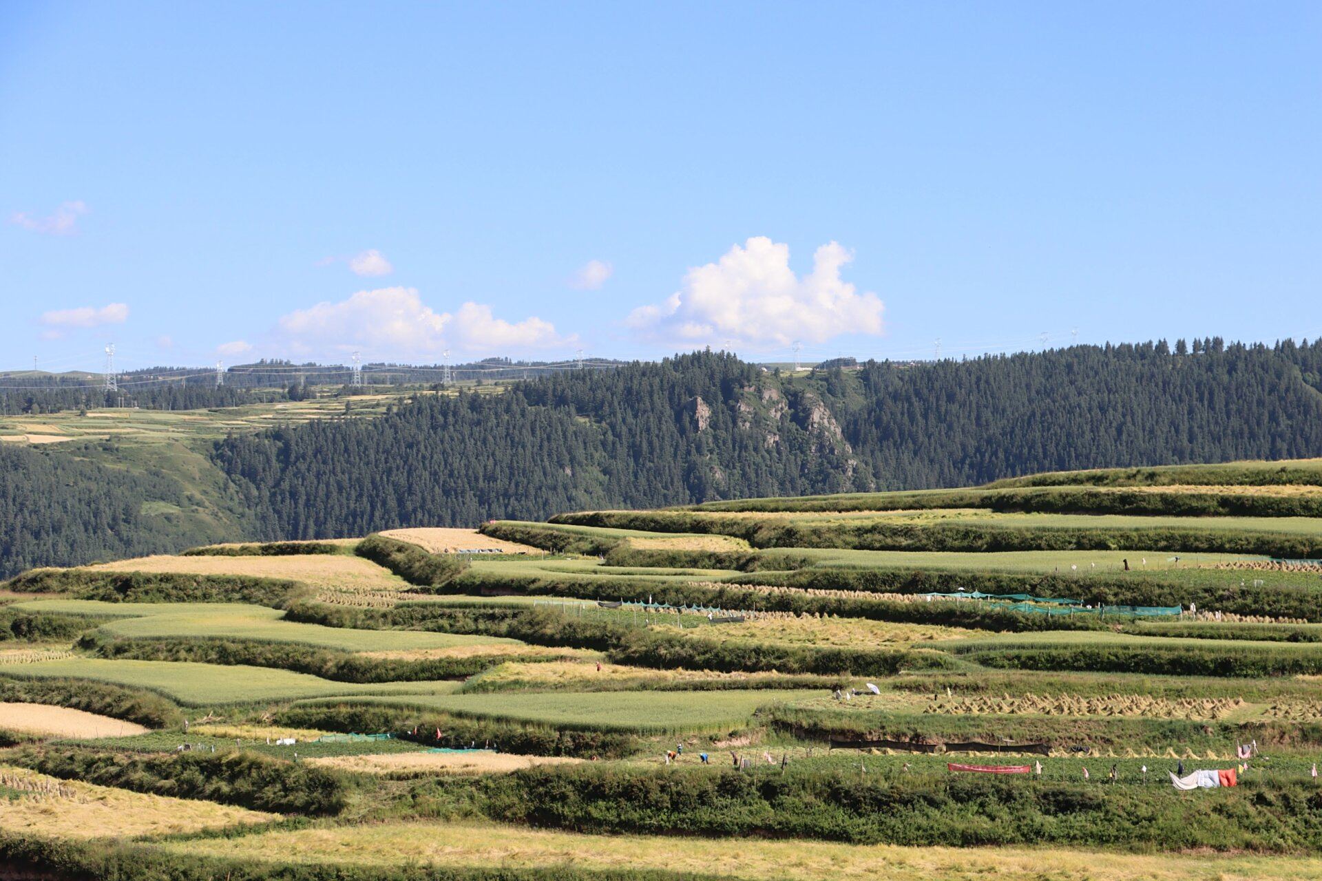 青海省尖扎县能科乡太美了! 感觉真的没有白来!太美了!