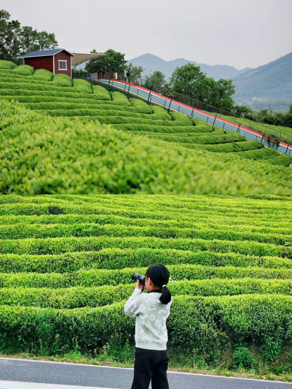 16 踏青好去处,余杭径山小古城村. 不负春光,虽然疫情,也想出去走走.