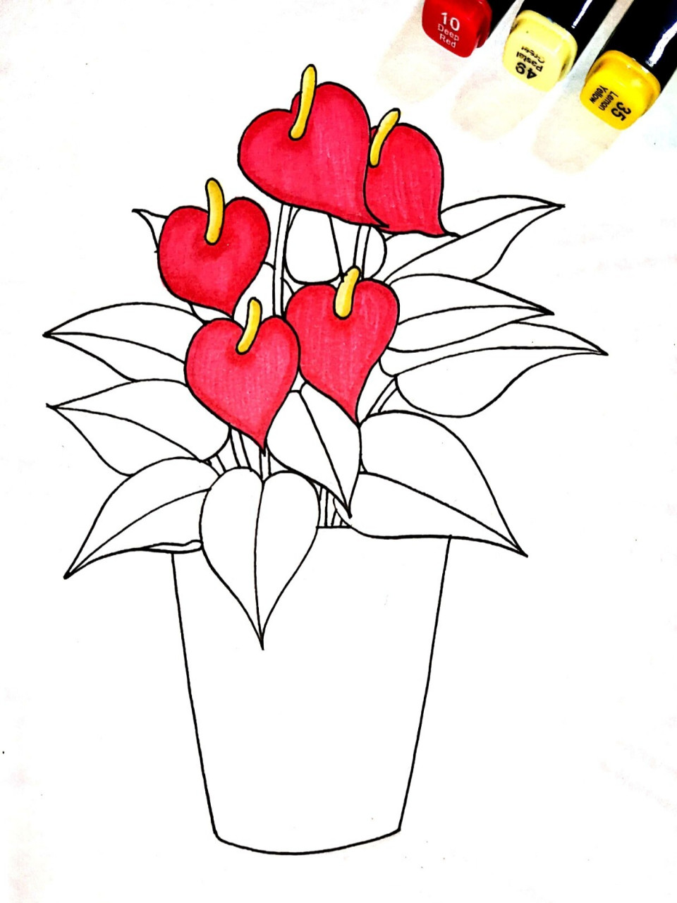 植物写生 红掌 创意儿童画 简笔画 线描