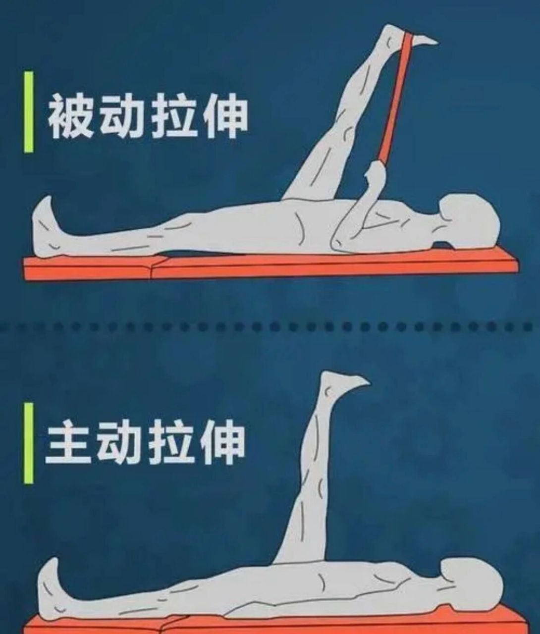 pnf拉伸 93pnf是proprioceptive neuromuscular facilitation的简写