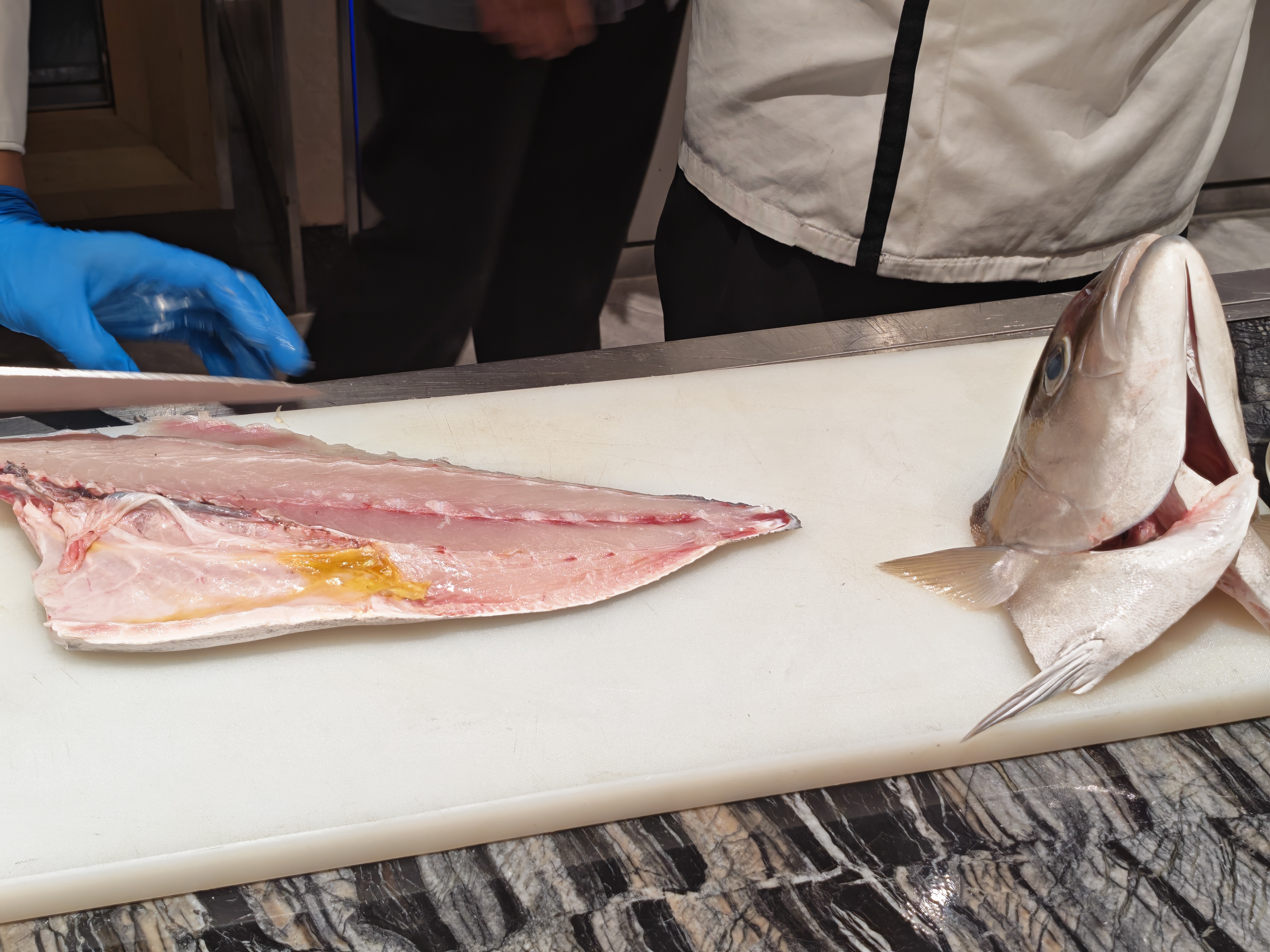 开水族馆的生物男 水哥,这是什么鱼!