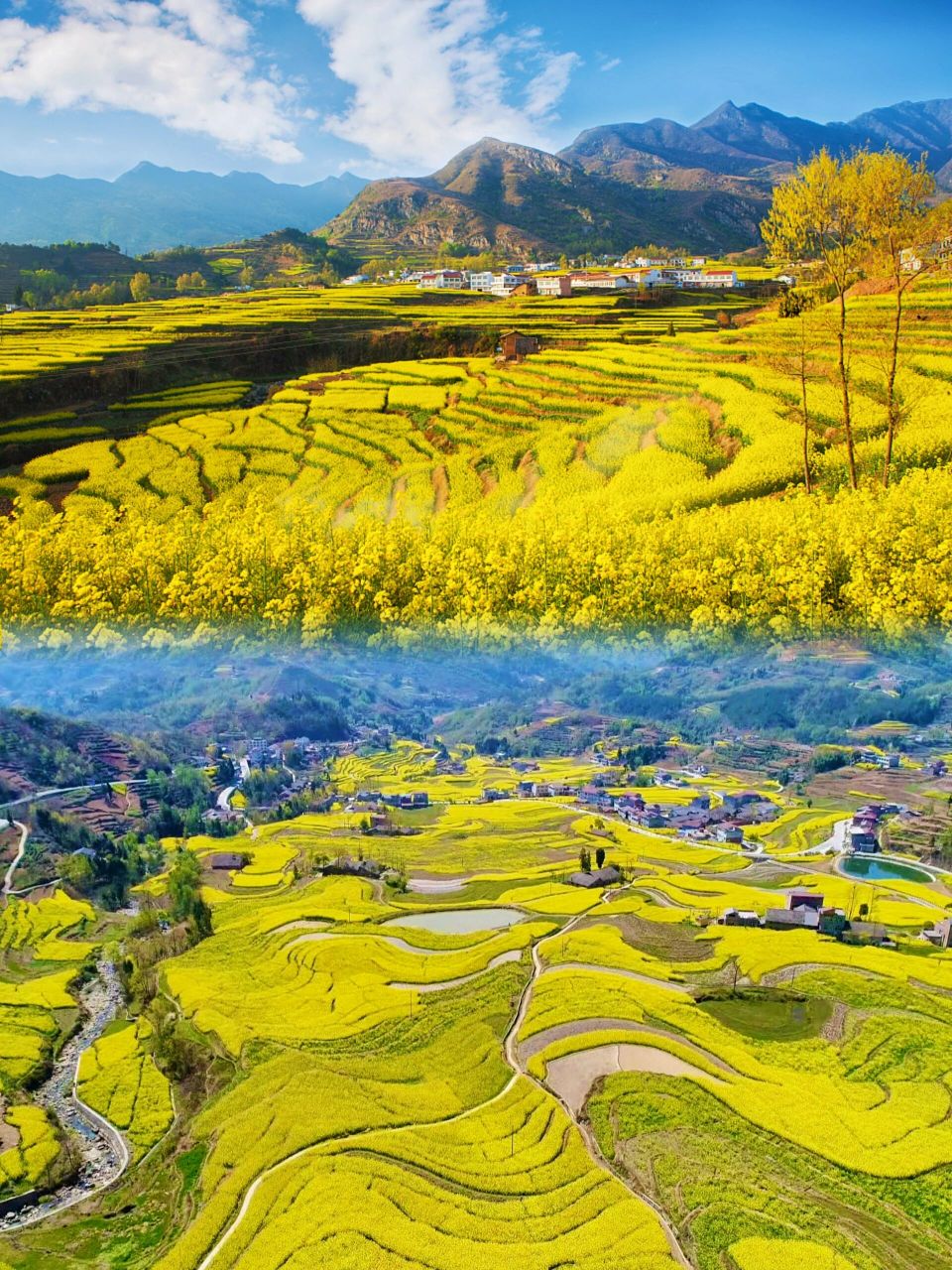 周末自驾汉阴凤堰古梯田,打卡绝美油菜花海 要说汉阴醉近什么火,毫无