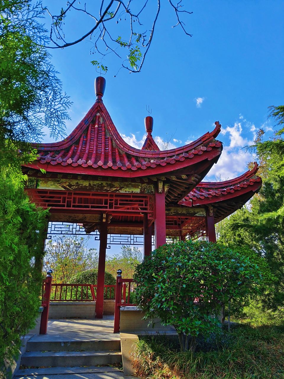 药山公园 留得残荷听雨声.