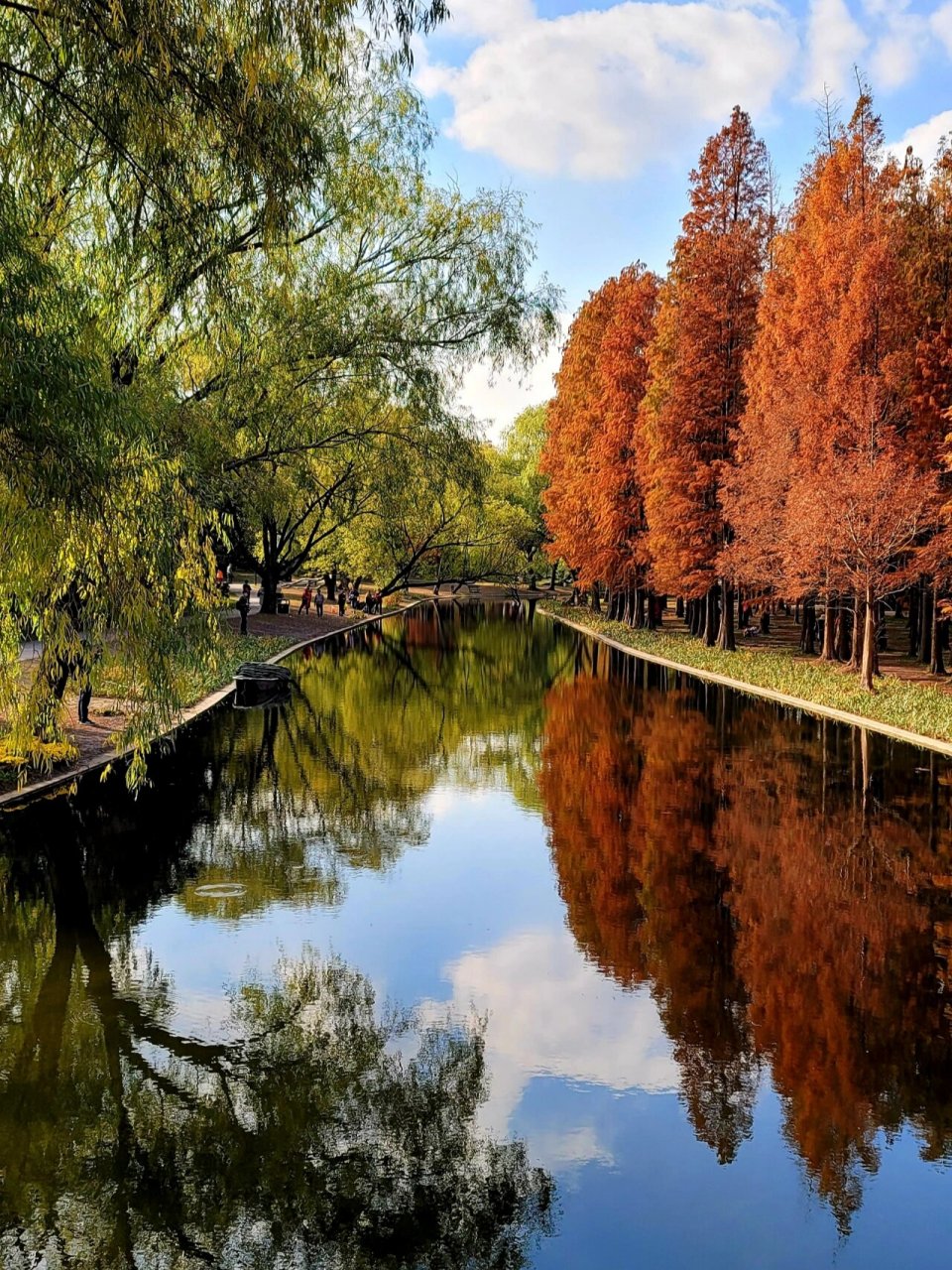 共青森林公园,位于上海市东北部的杨浦区,东起黄浦江,西至军工路,总