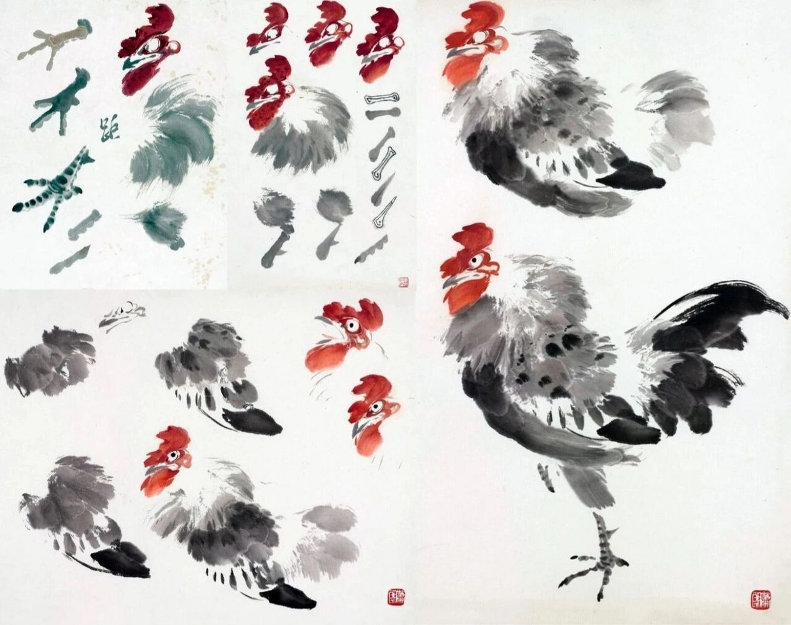 公鸡的画法!附带可供临摹作品!
