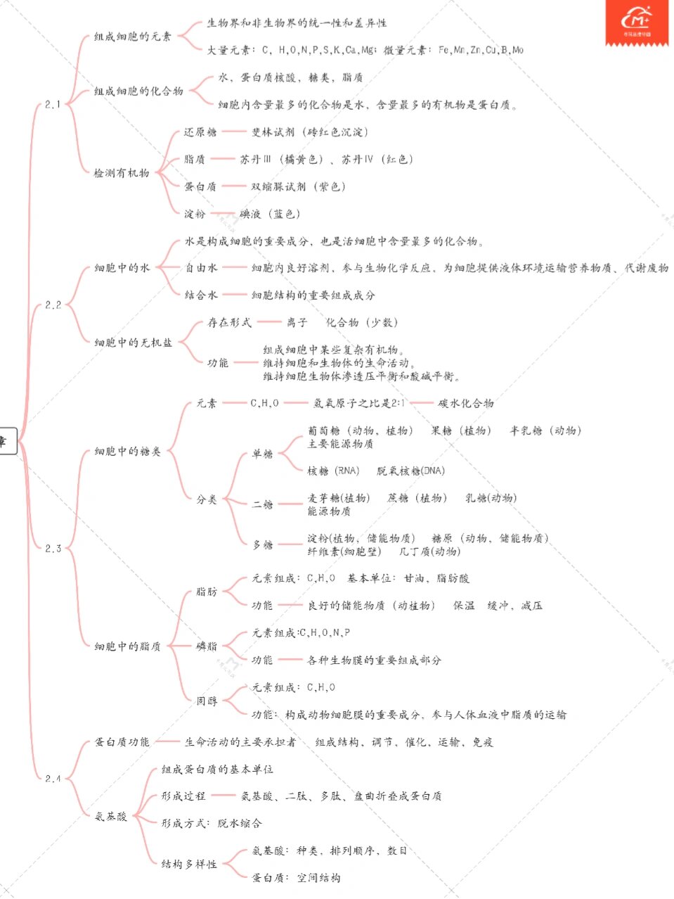 包含高中生物思维导图（必修1全册）的词条