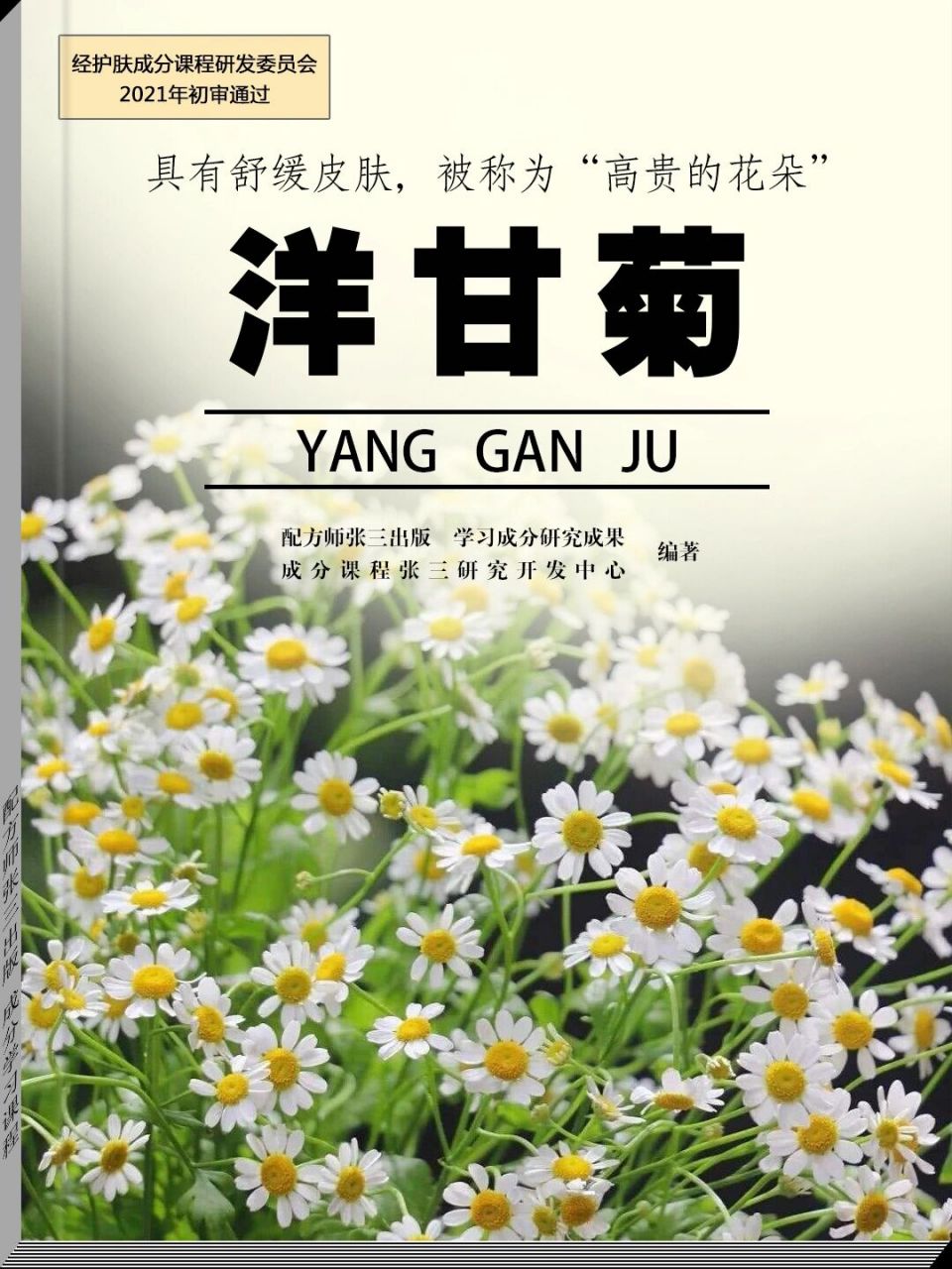 洋甘菊的护肤功效你知道吗?