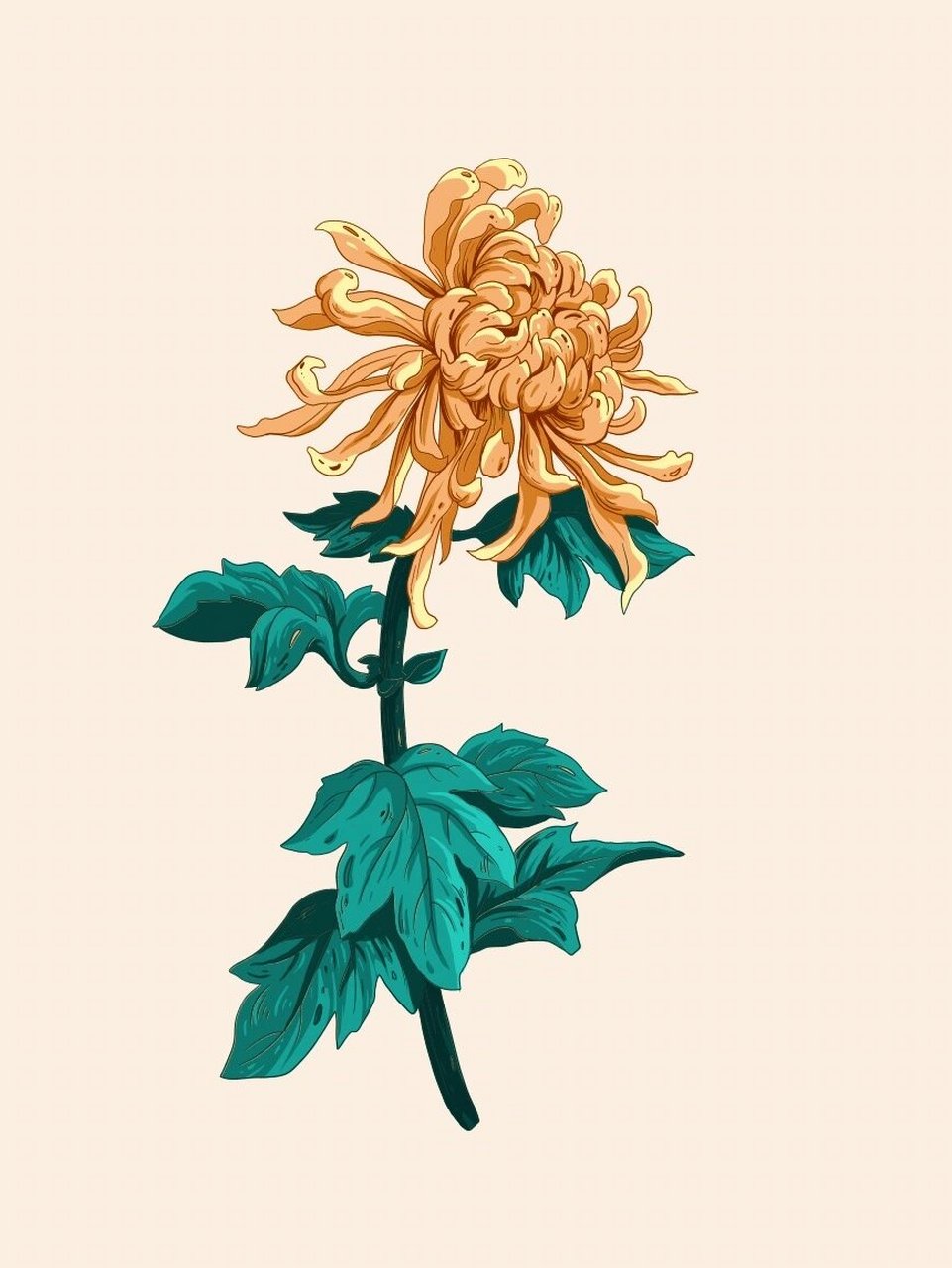 94菊花绘画步骤94