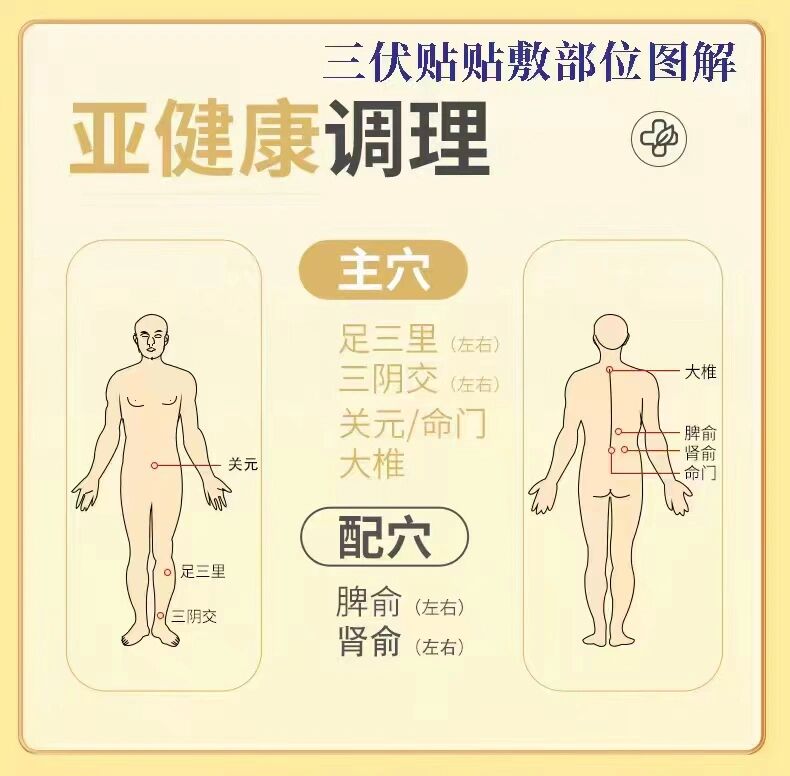 三伏贴主要调理呼吸系统疾病,如支气管炎,哮喘,咳嗽,慢阻肺;肠胃疾病