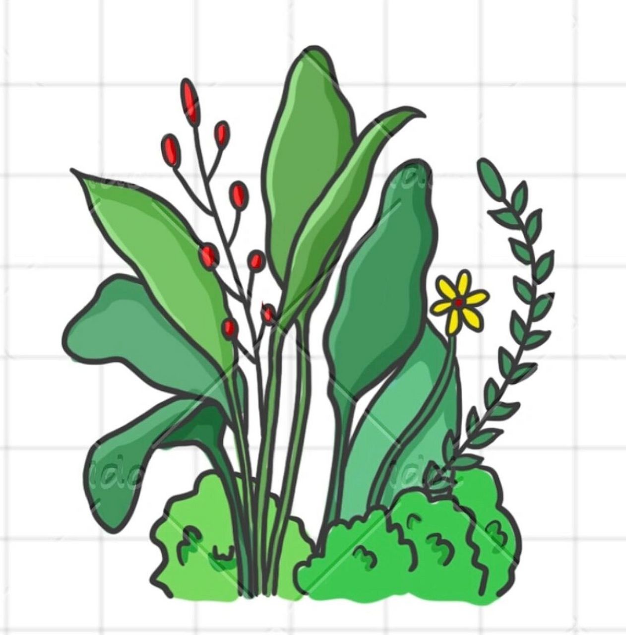 11/100简笔画|植物|线稿77上色96|多领域授权 神兽们又要开学啦