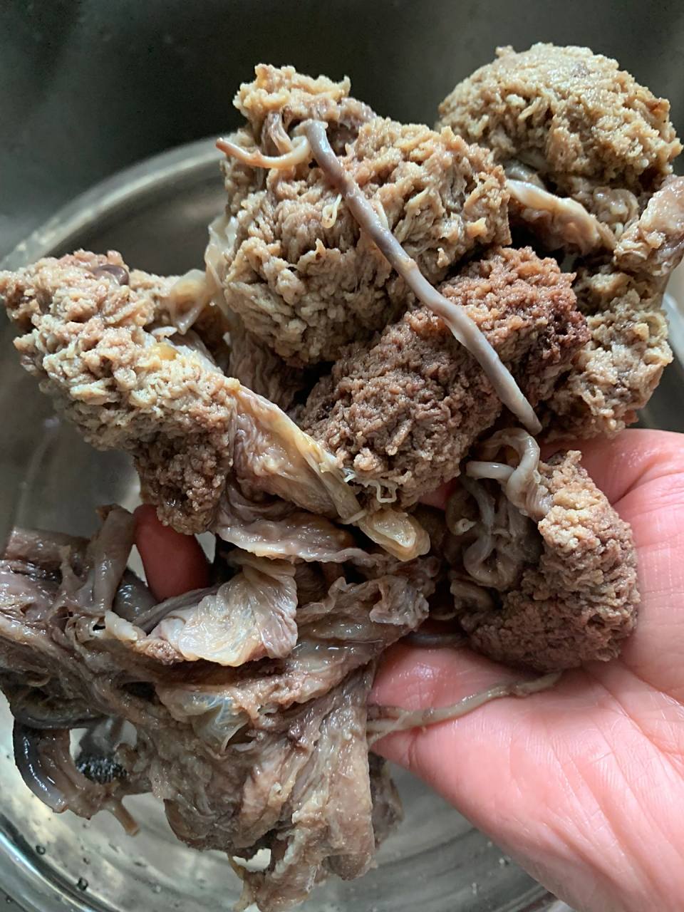 牛胎盘炖汤,听说很滋补 牛胎盘具有滋阴补阳的功效,可以起到调节体内