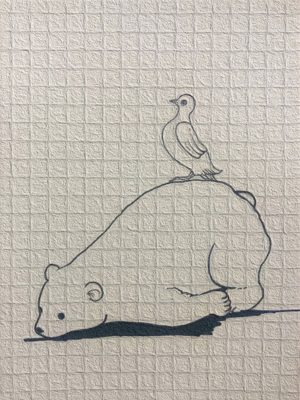 可爱简笔画分享(二十三)北极熊(过程在里面) 当一只北极熊好像也不错