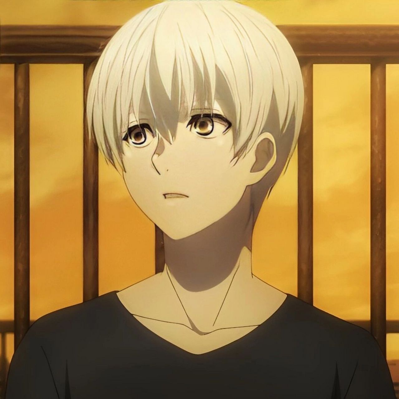 金木头像 喜欢的请点个赞 #东京食尸鬼# #东京喰种# #金木研