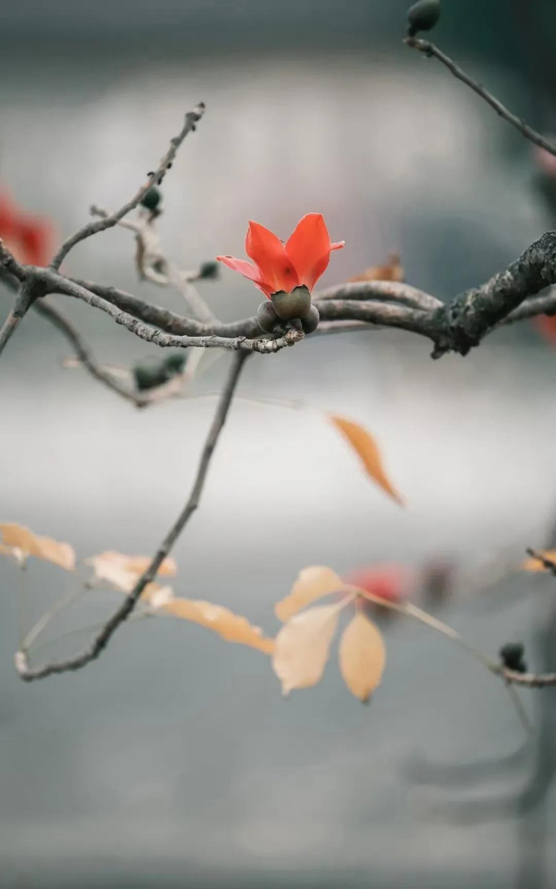 我是一名在职资深人事总监.